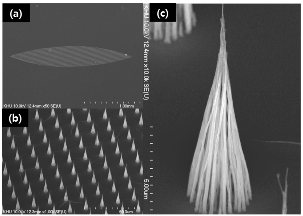 Materials Special Issue Xray Imaging in Materials Science