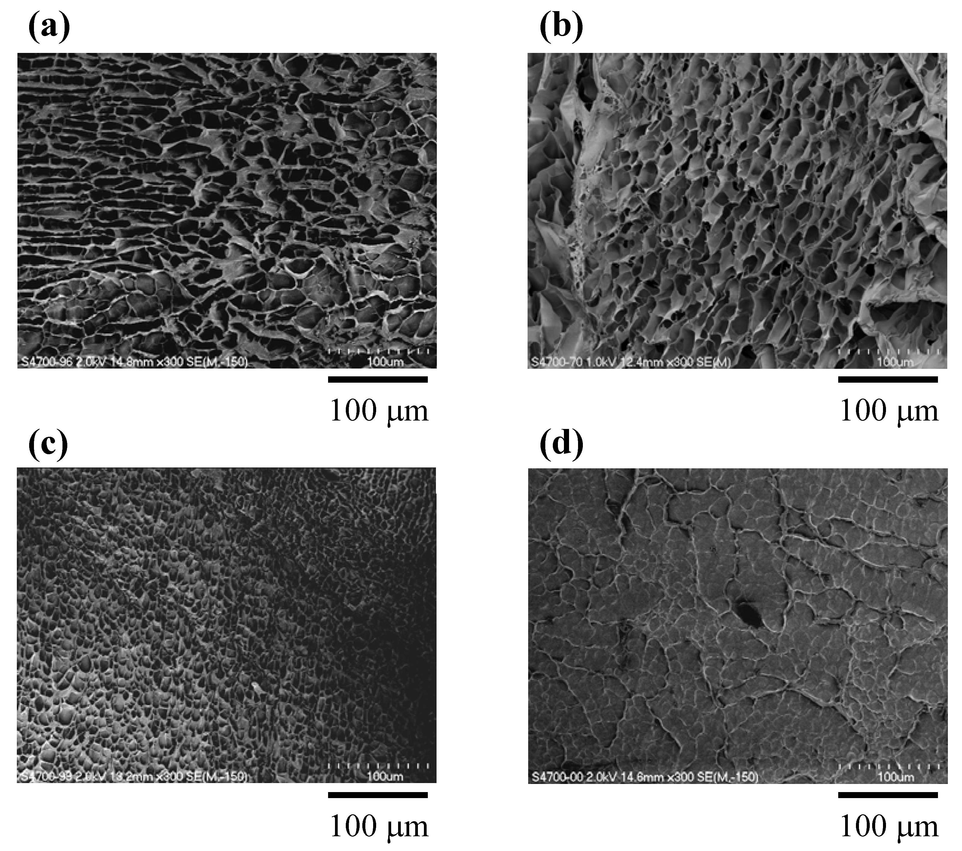Materials 05 02573 g003