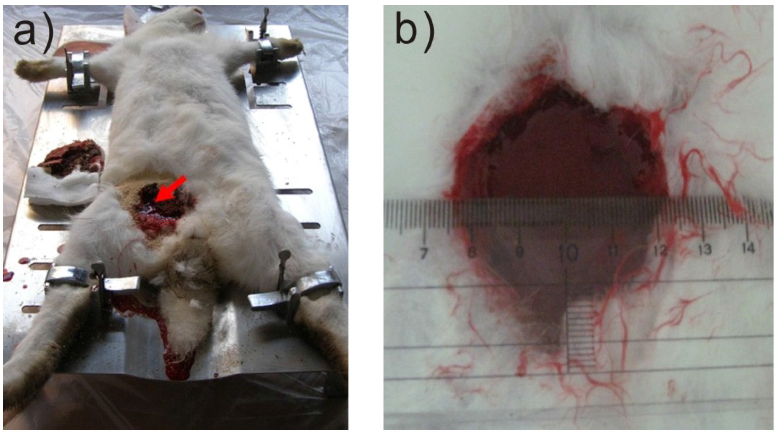 Materials 05 02586 g003 1024