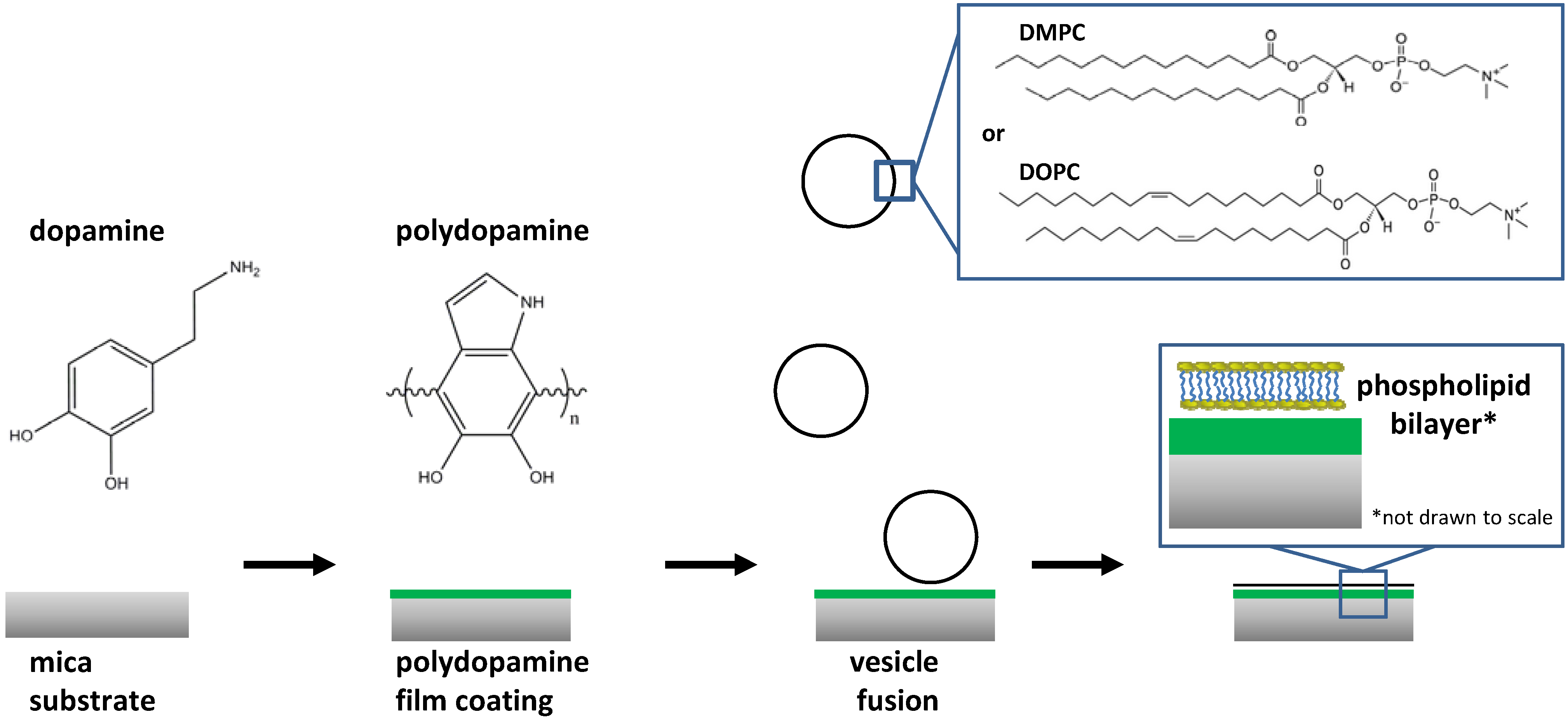 Materials 05 02621 g001
