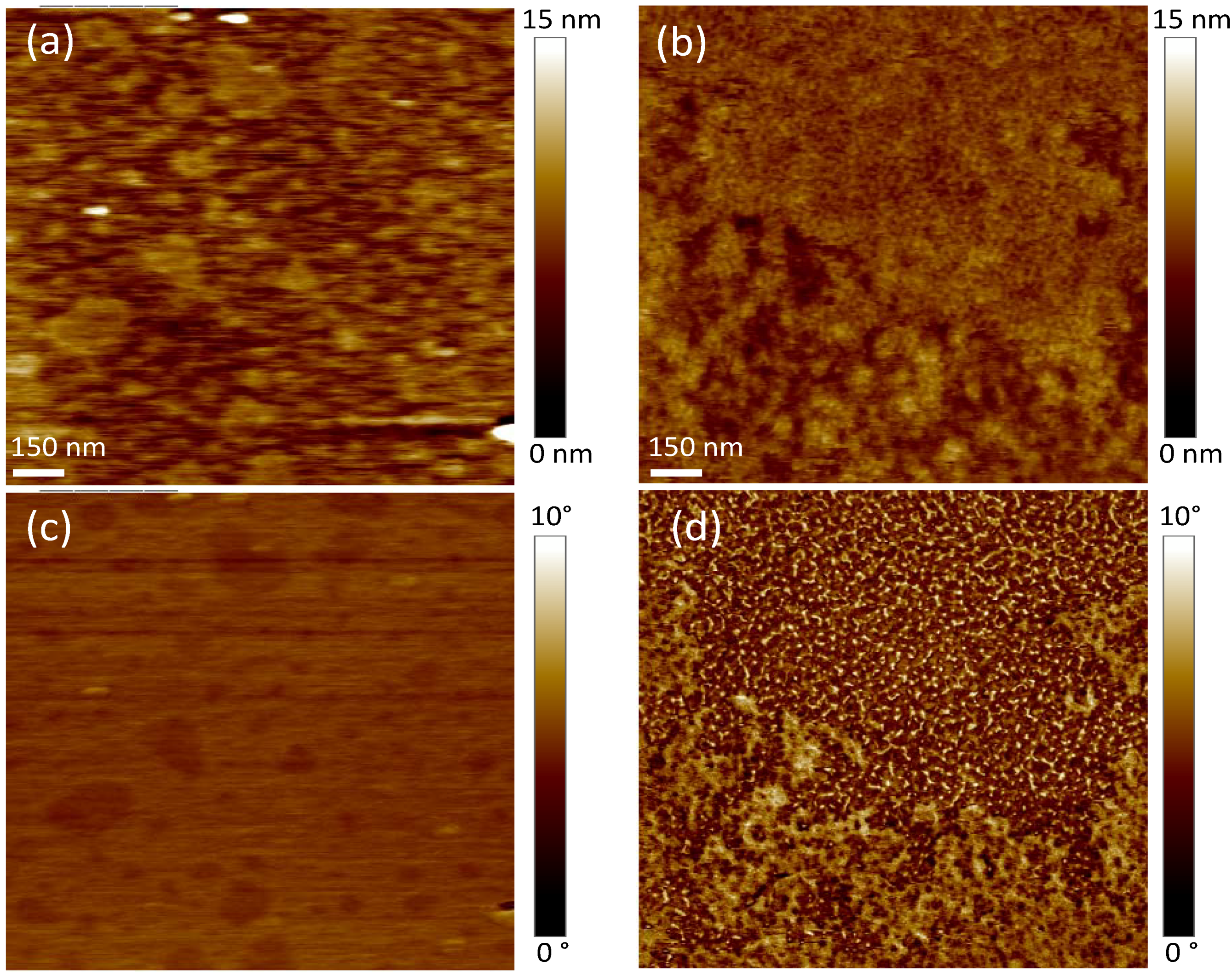 Materials 05 02621 g006