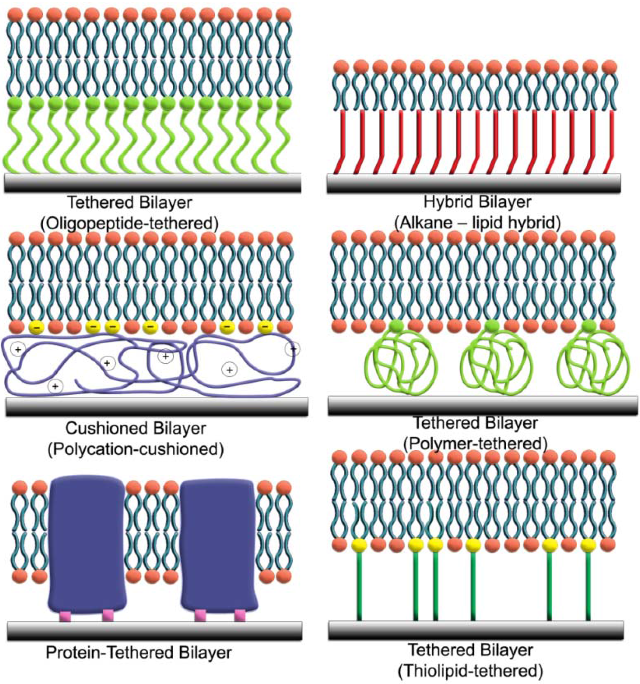 Materials 05 02637 g001