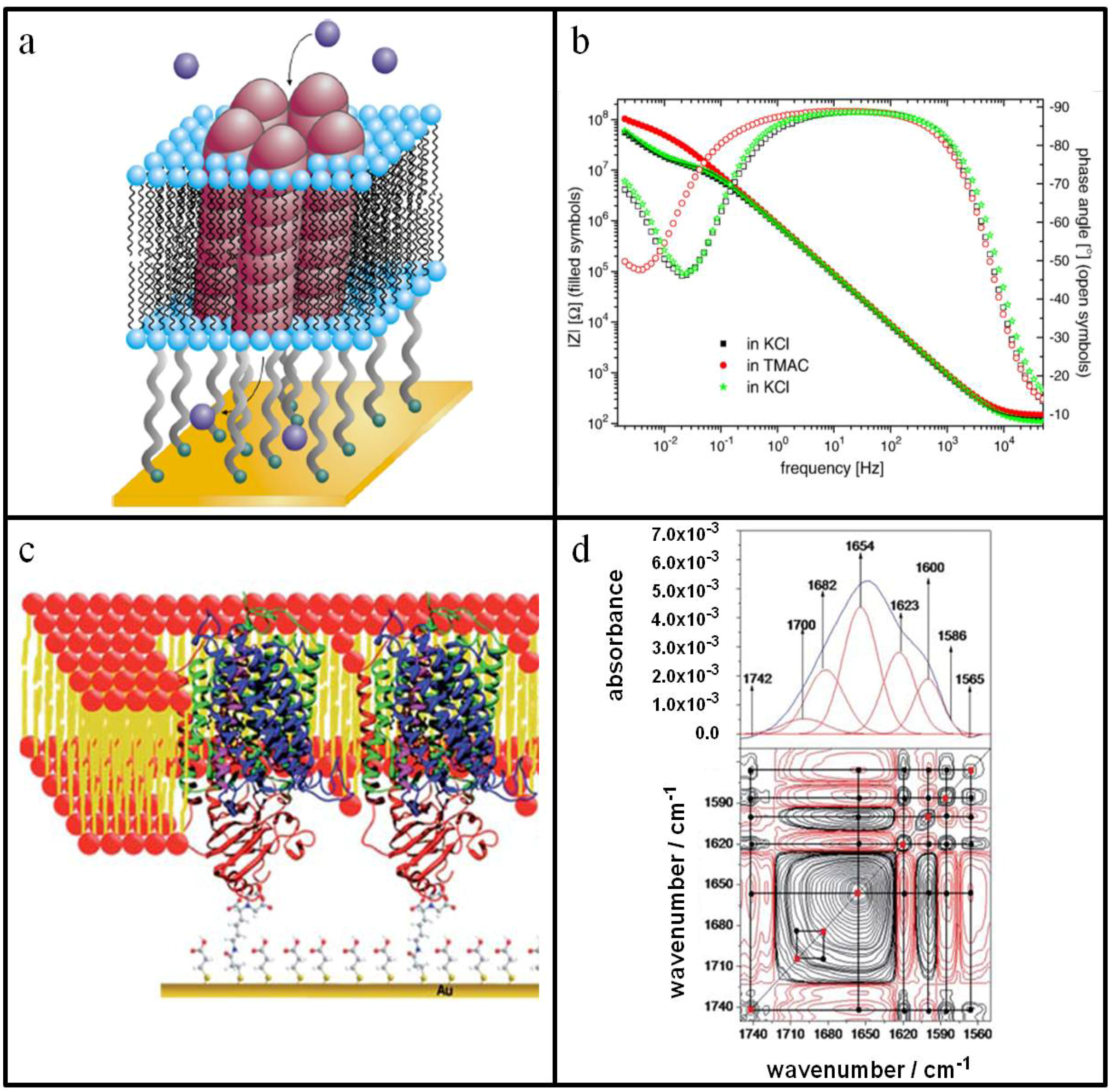 Materials 05 02637 g002