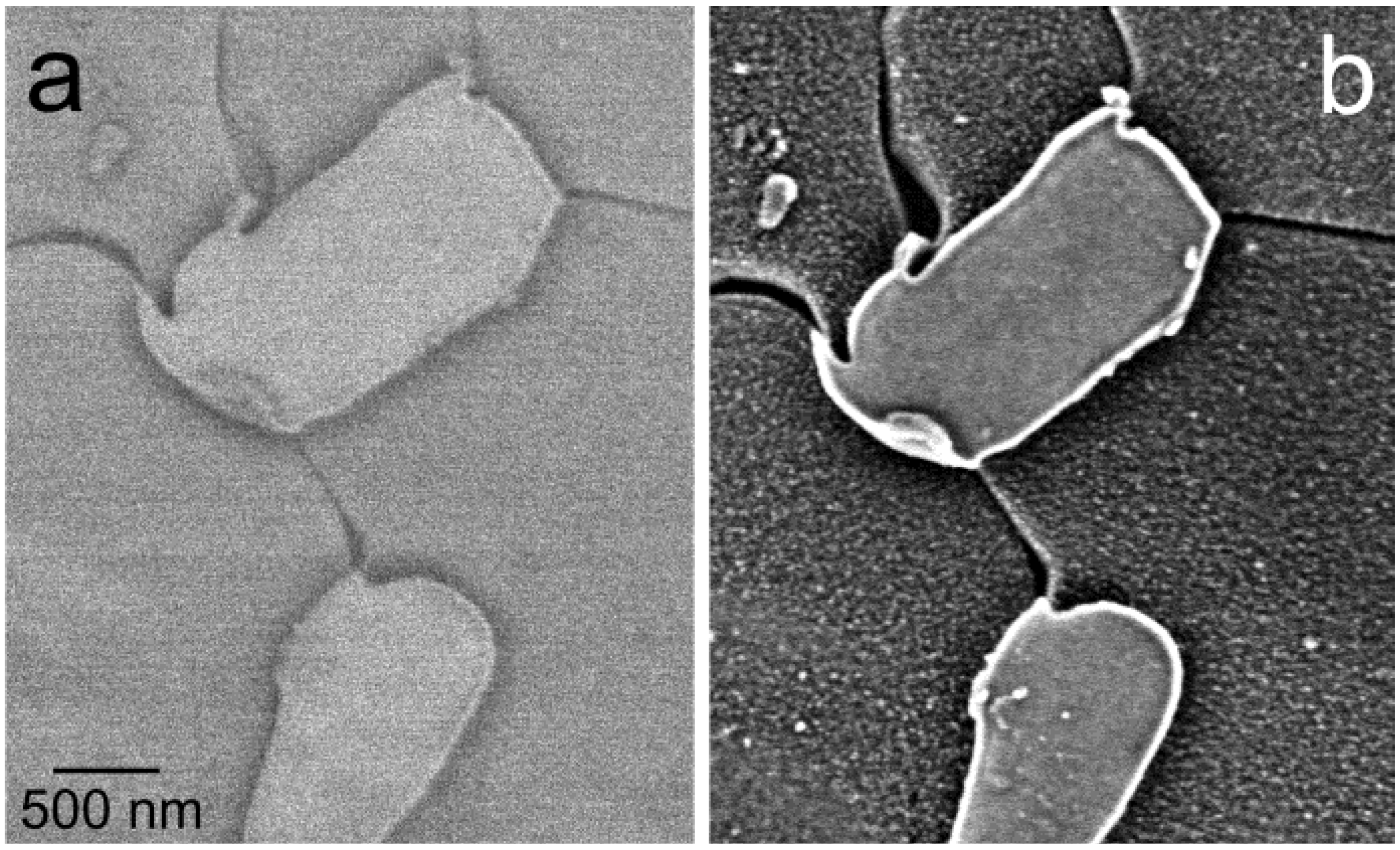 Materials 05 02731 g002