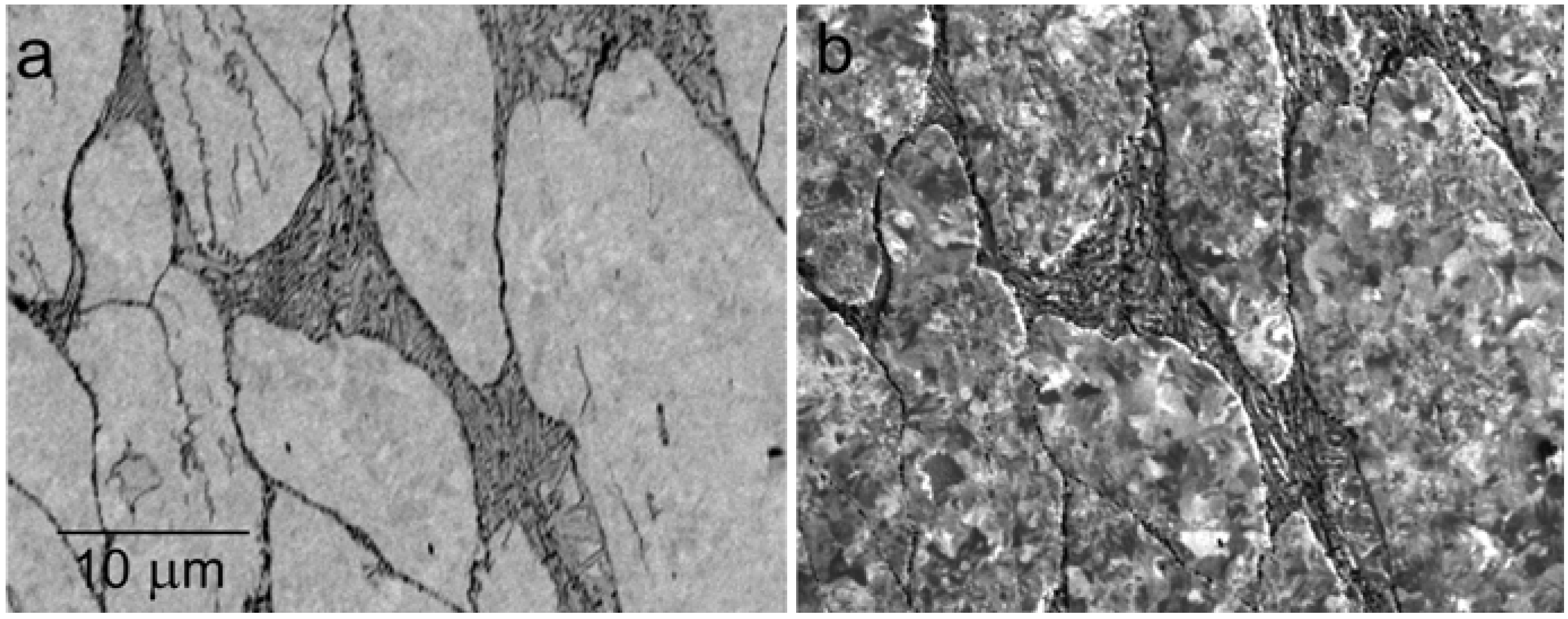 Materials 05 02731 g016