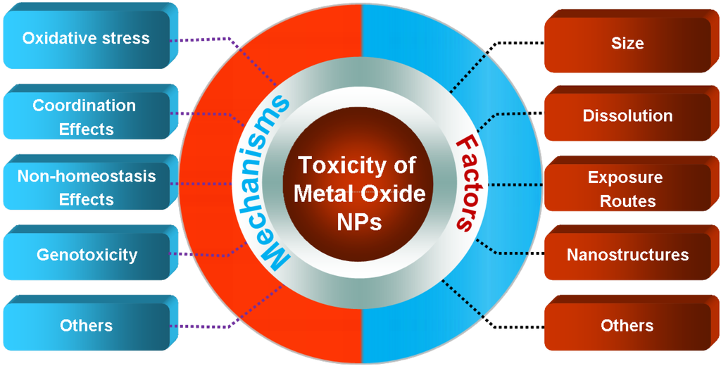 The Toxic Effects and Mechanisms of CuO and ZnO Nanoparticles
