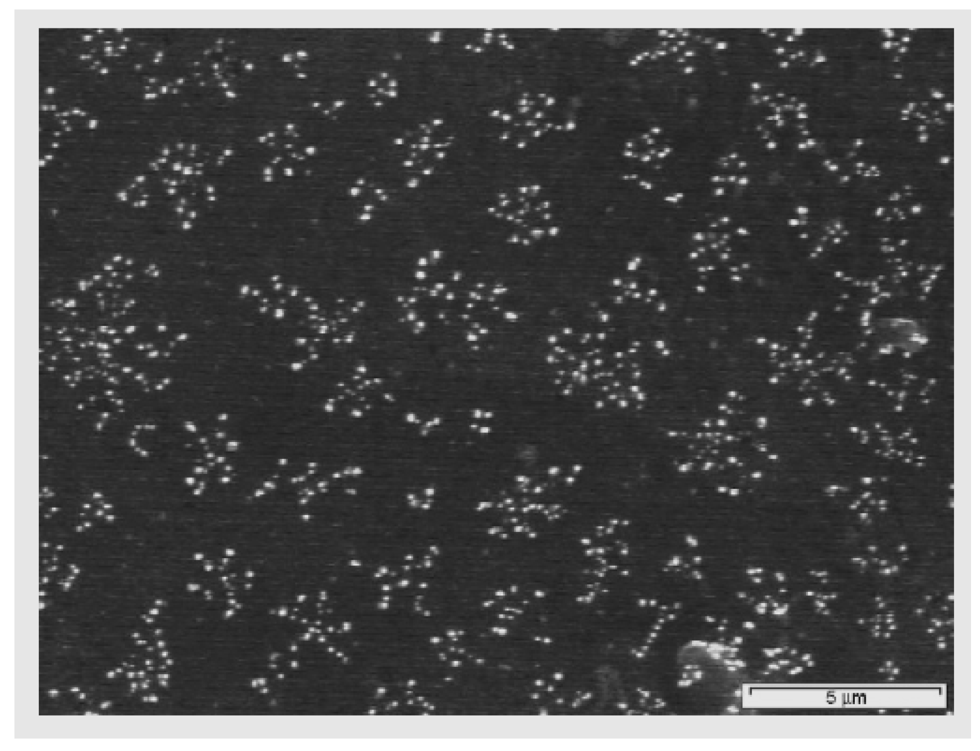 Materials 05 02937 g011