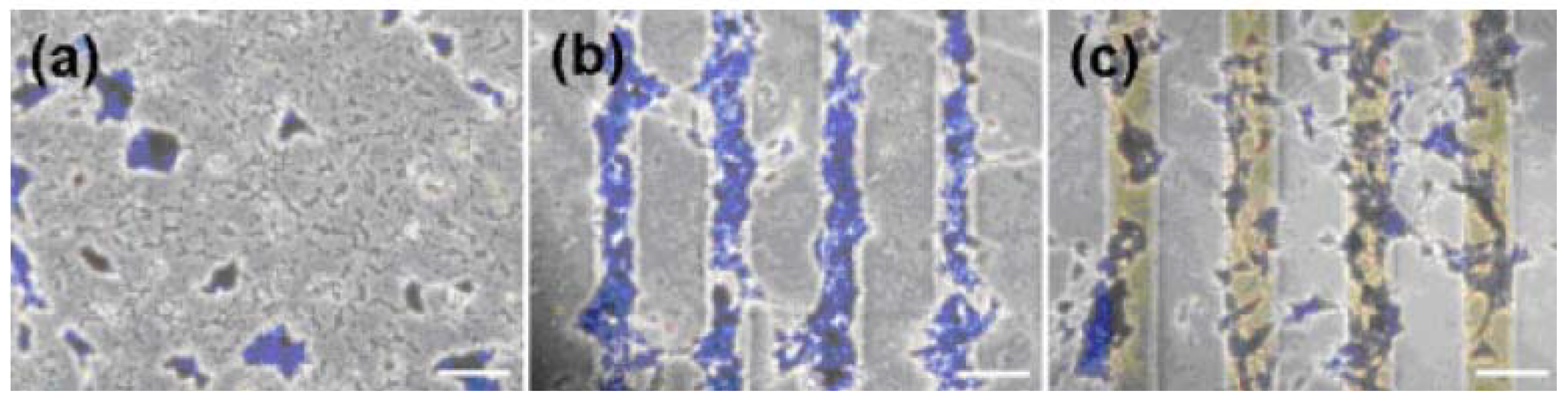 Materials 05 02937 g015