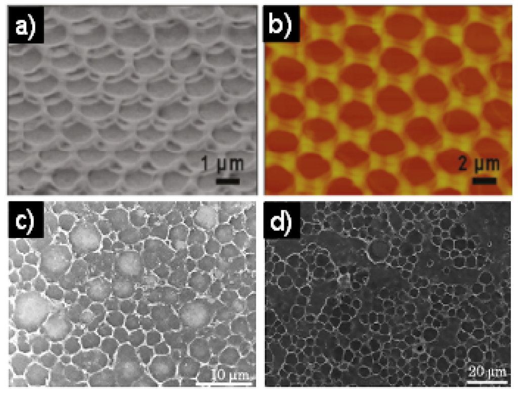 Materials | Special Issue : Advances in Bio-inspired Materials