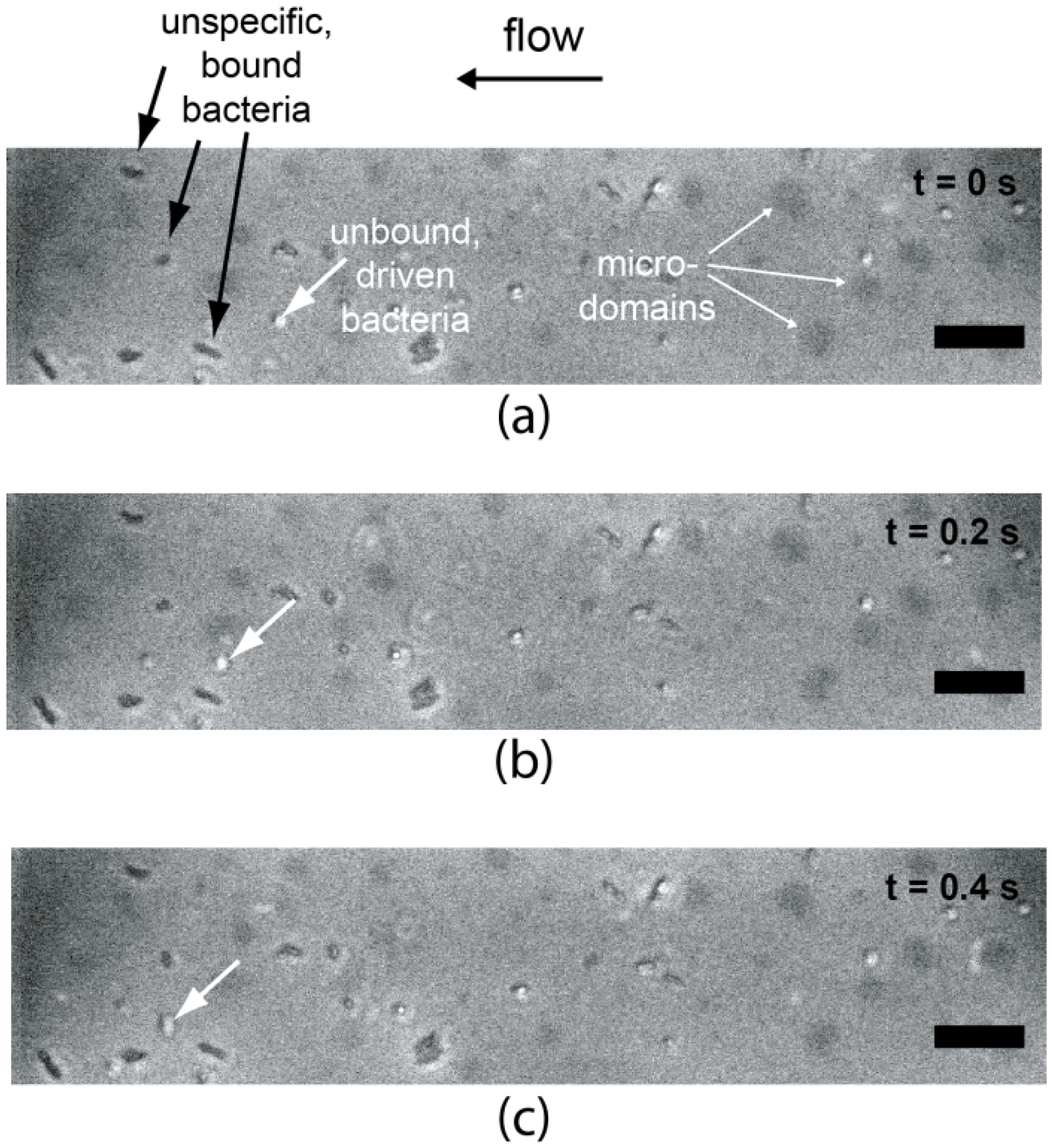 Materials 06 00669 g009 1024