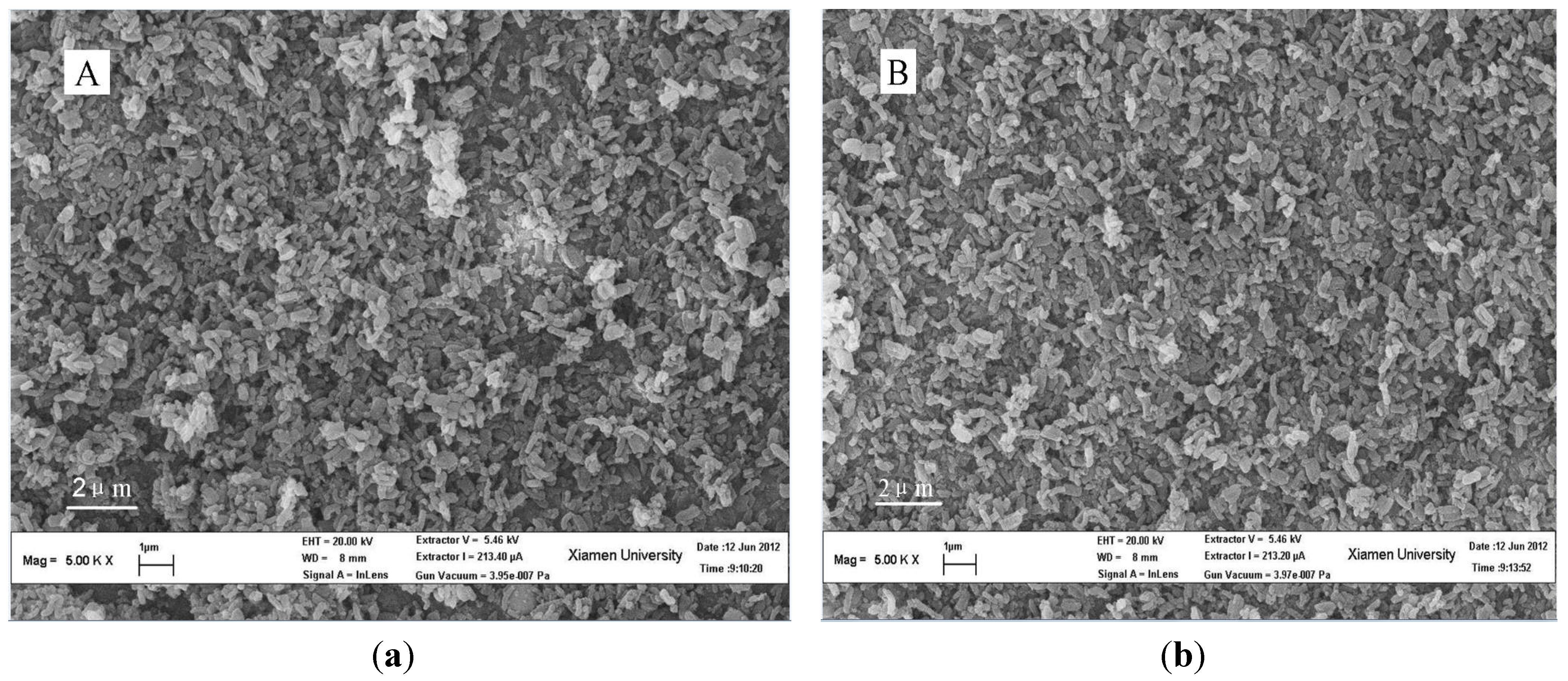 Materials 06 00981 g007a 1024