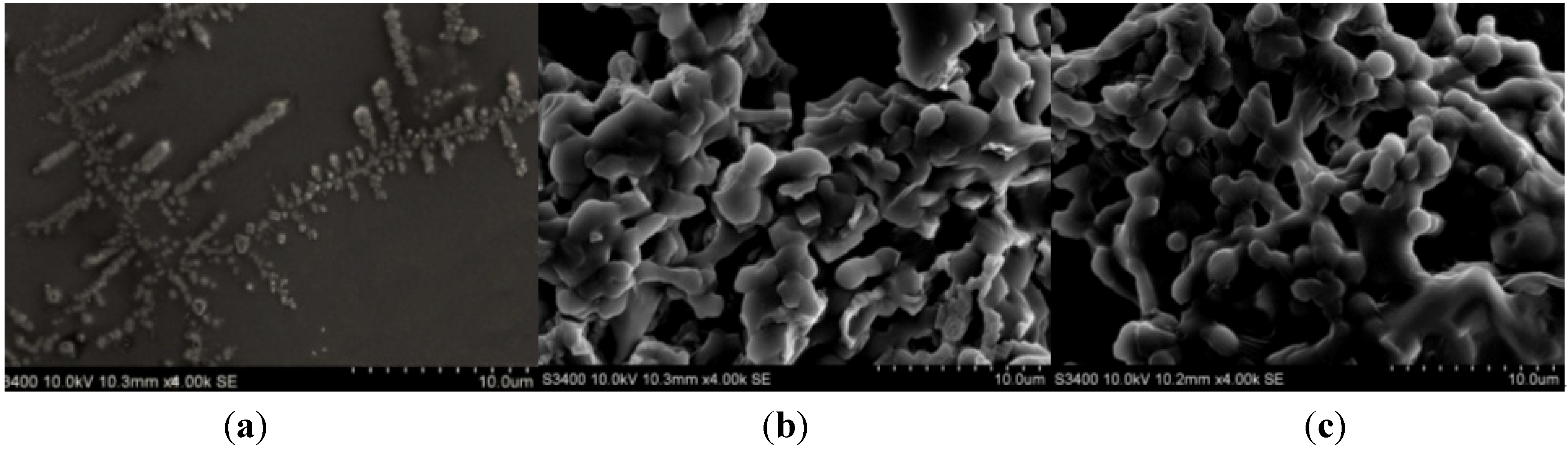 Materials 06 01255 g001 1024