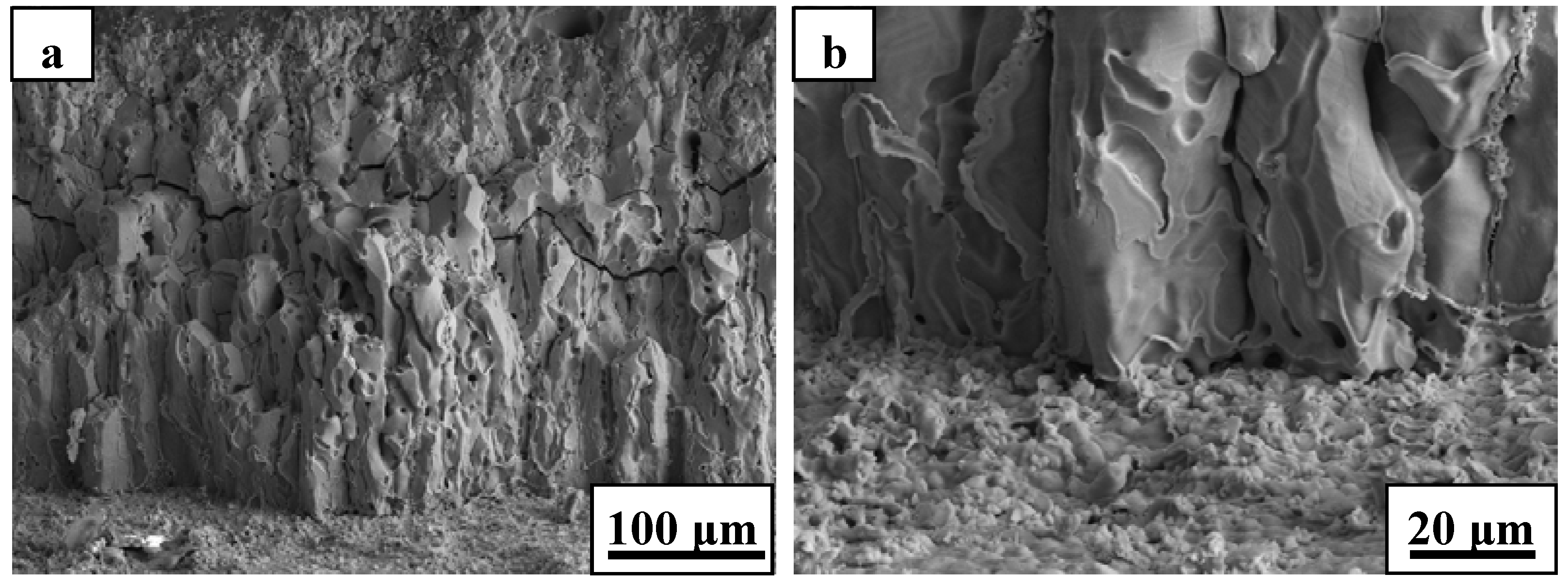 Materials 06 01730 g004 1024