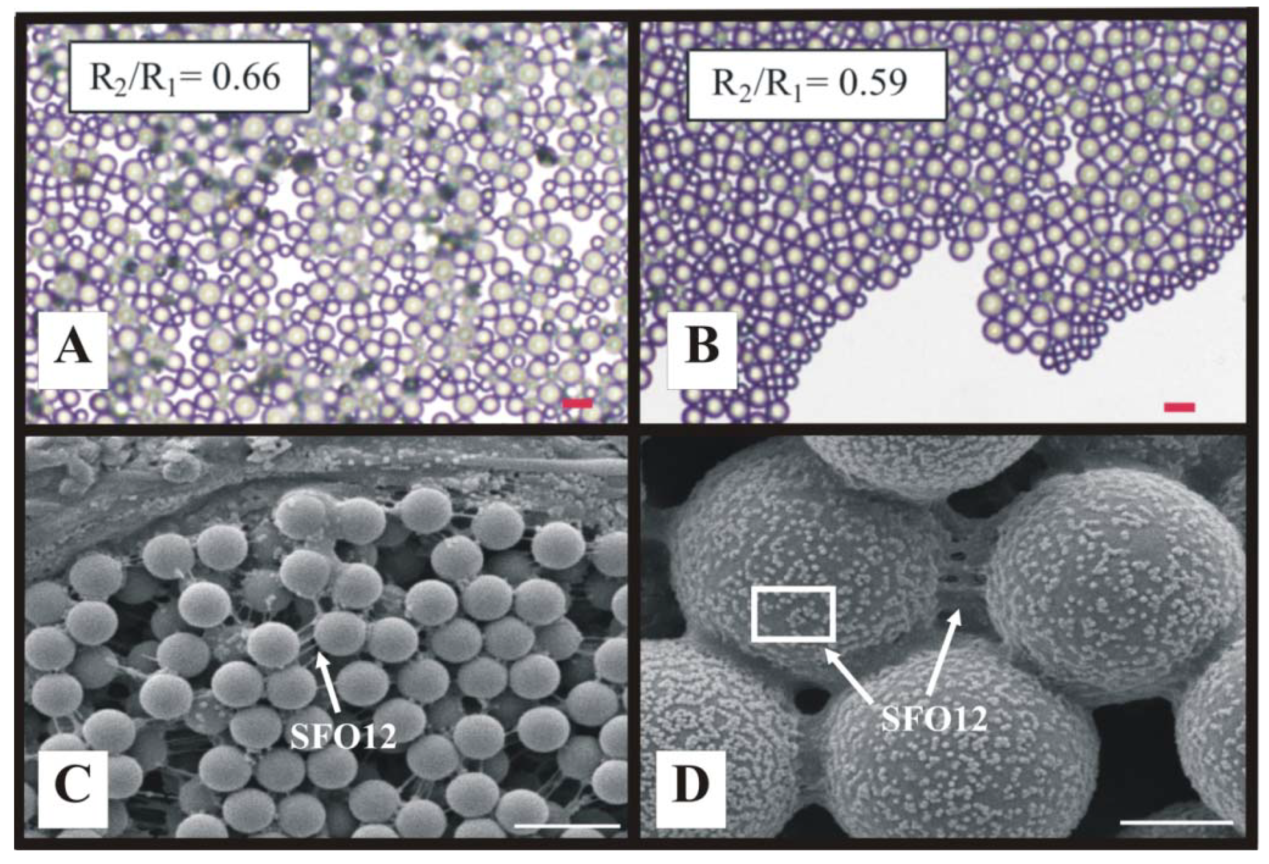 Materials 06 01803 g006