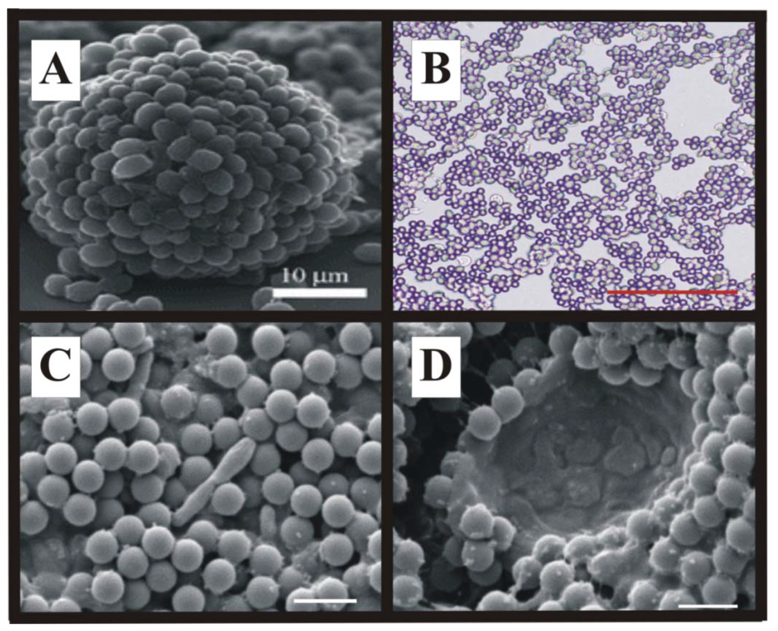 Materials 06 01803 g007
