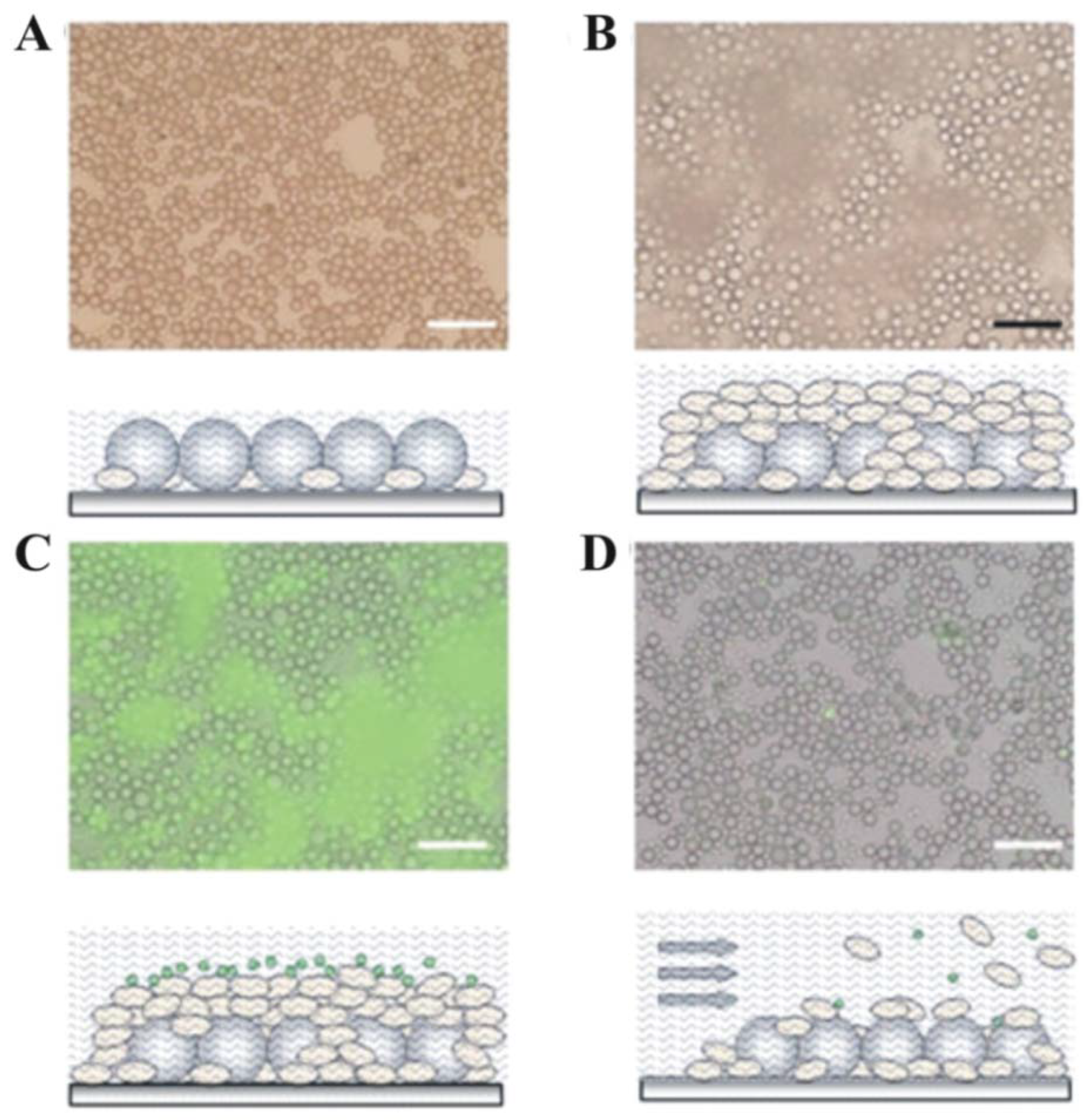 Materials 06 01803 g009