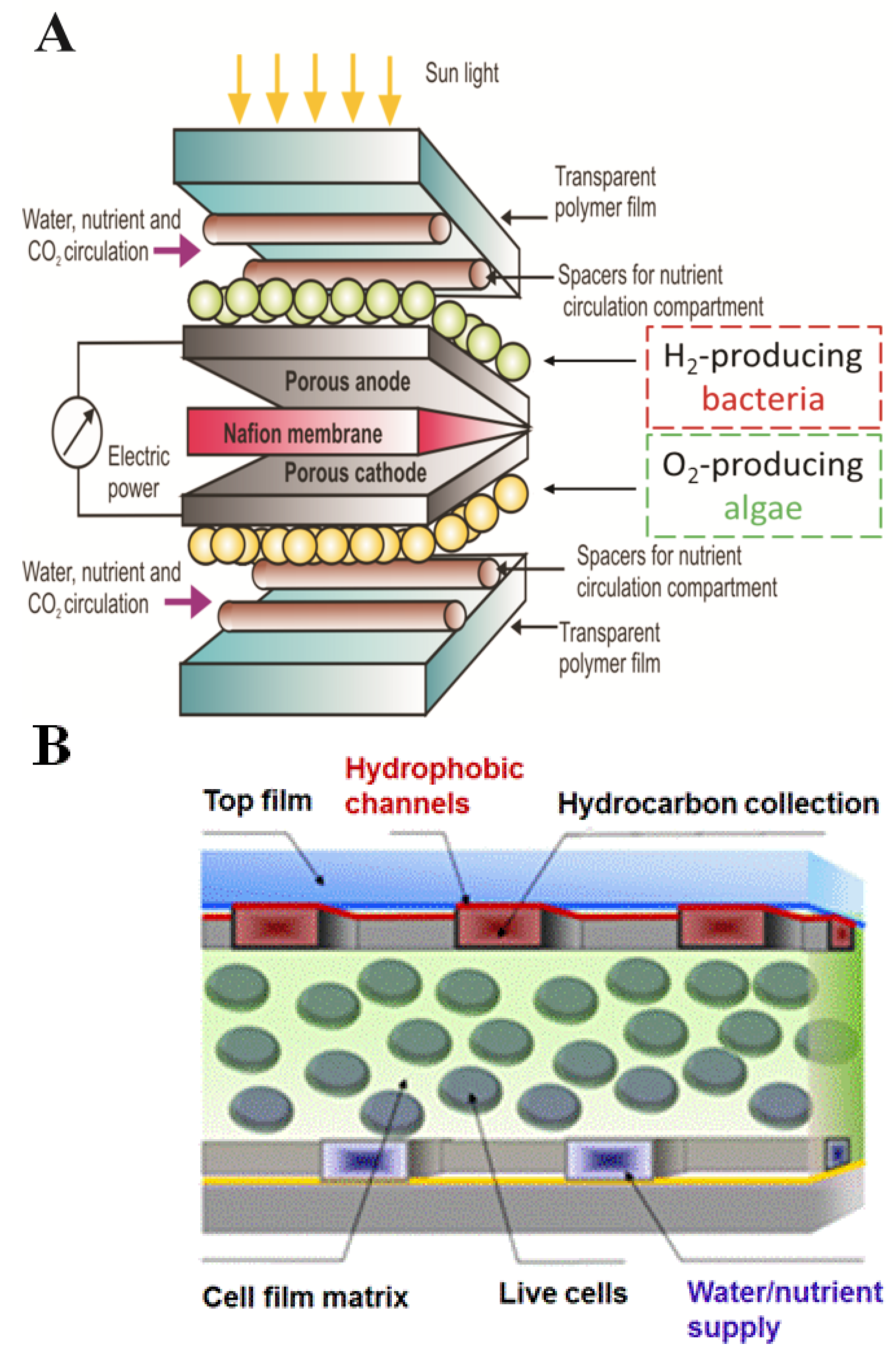 Materials 06 01803 g011