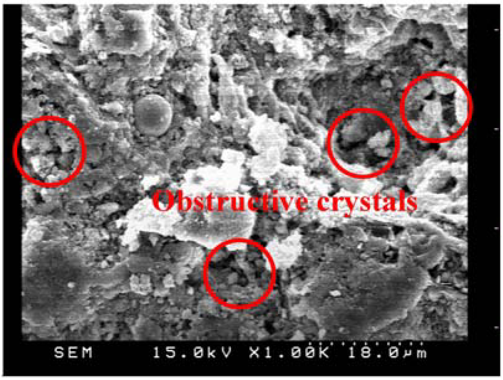Materials 06 01851 g019
