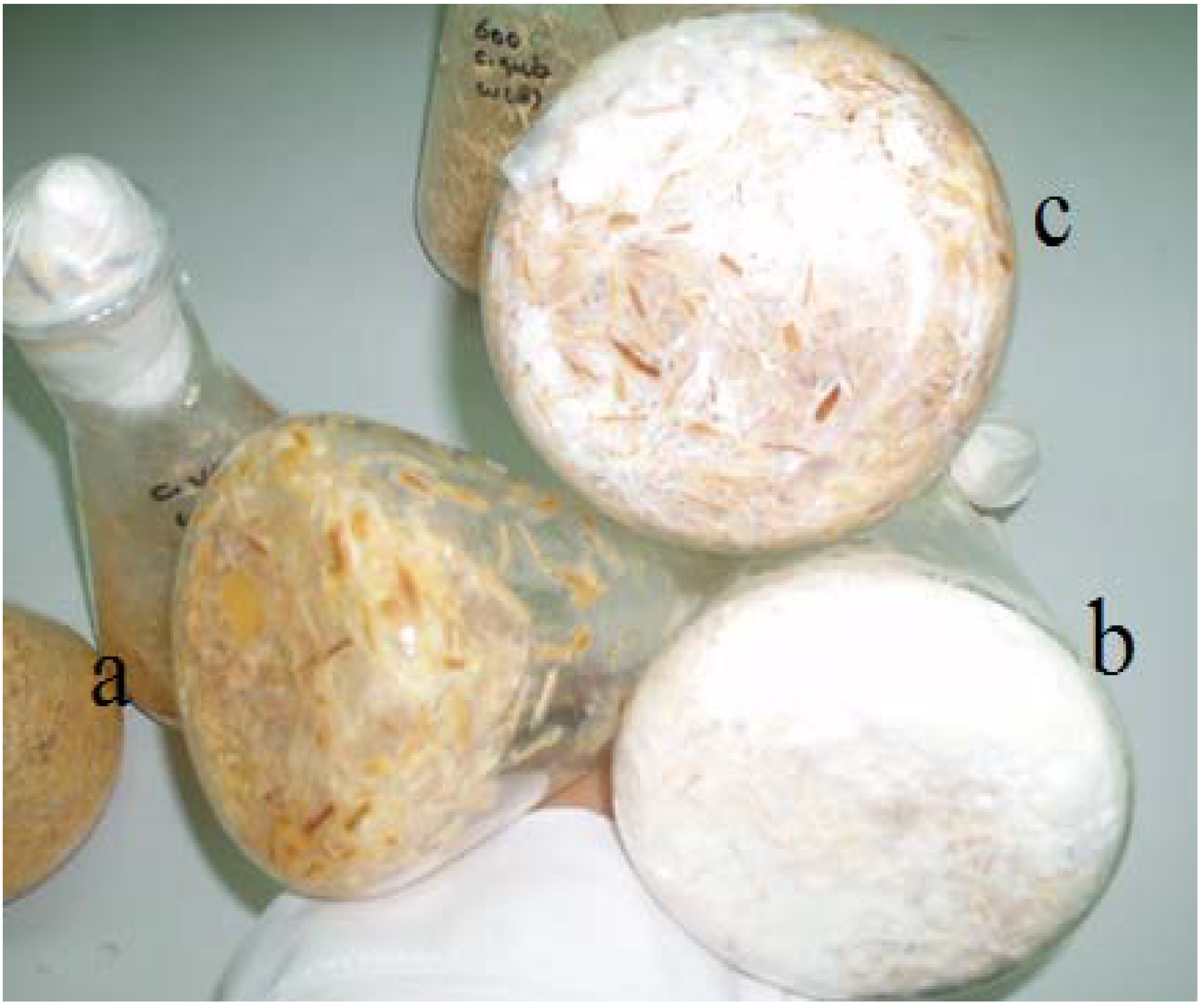 Materials 06 02059 g001