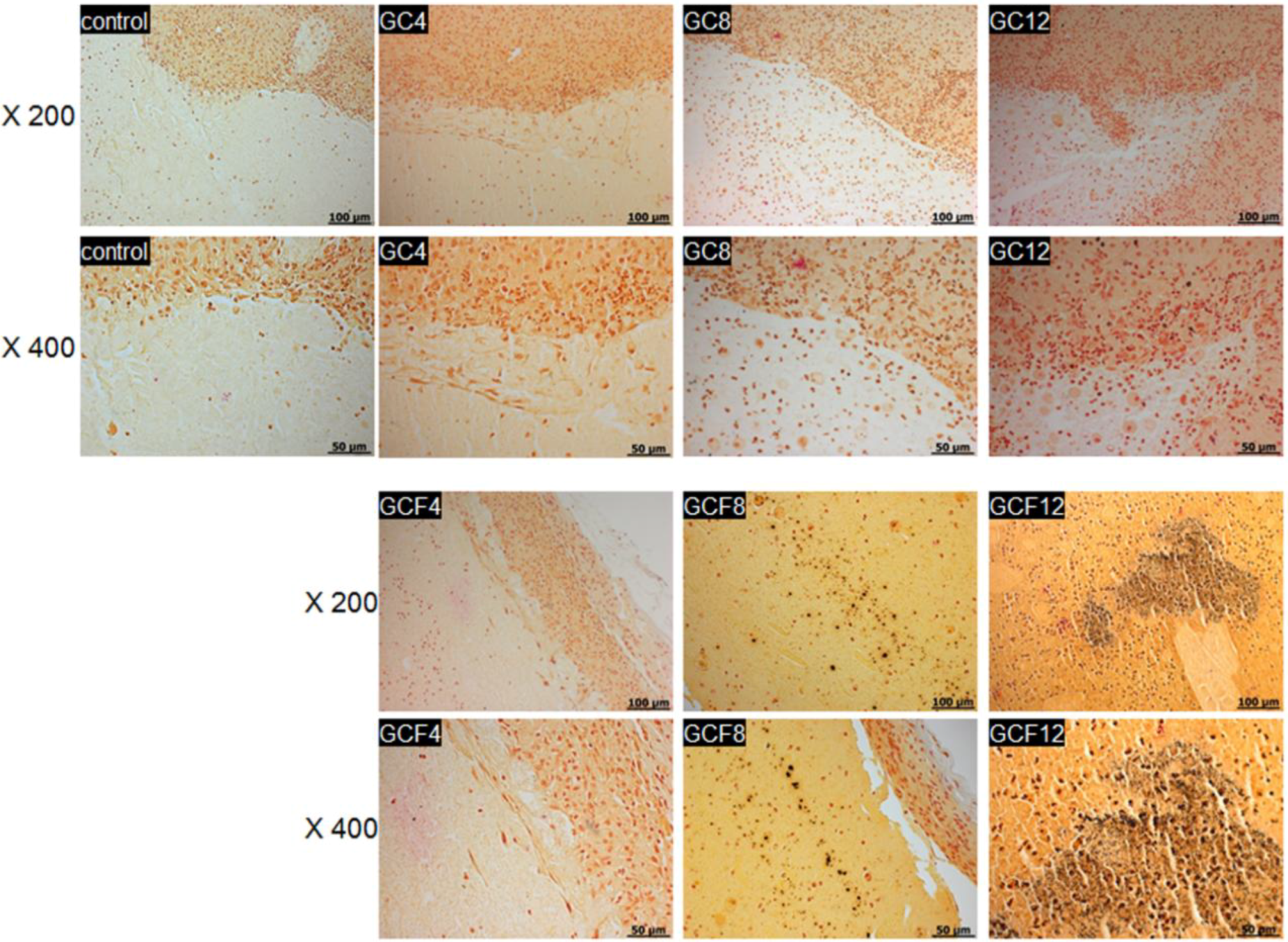 Materials 06 02978 g007
