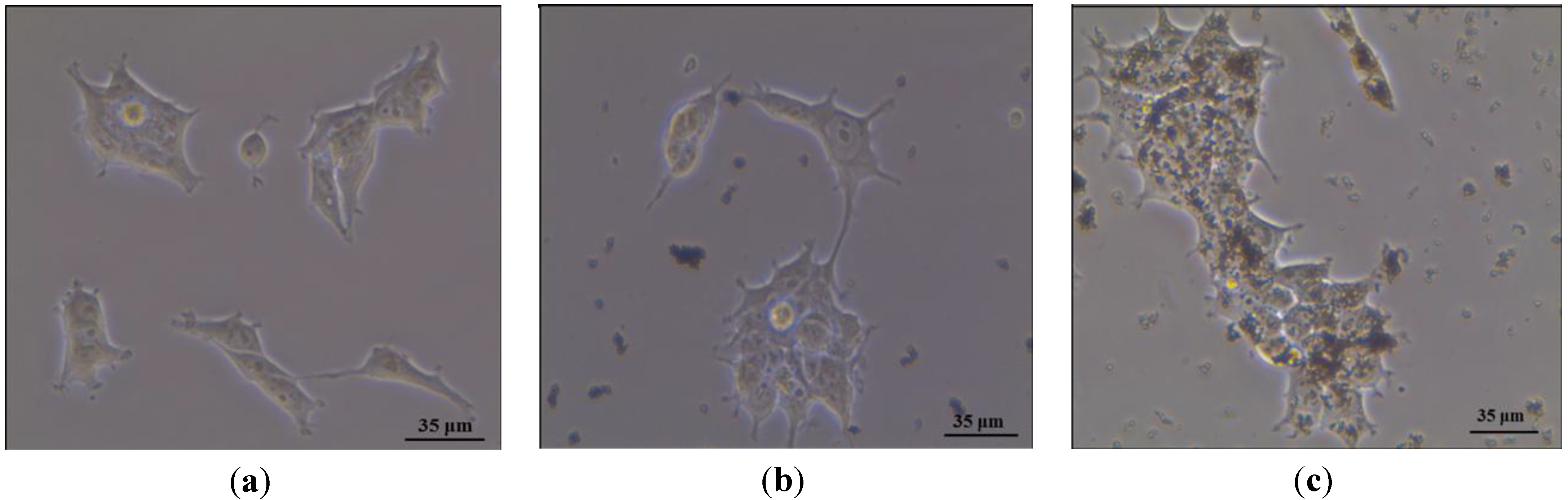 Materials 06 03213 g008 1024