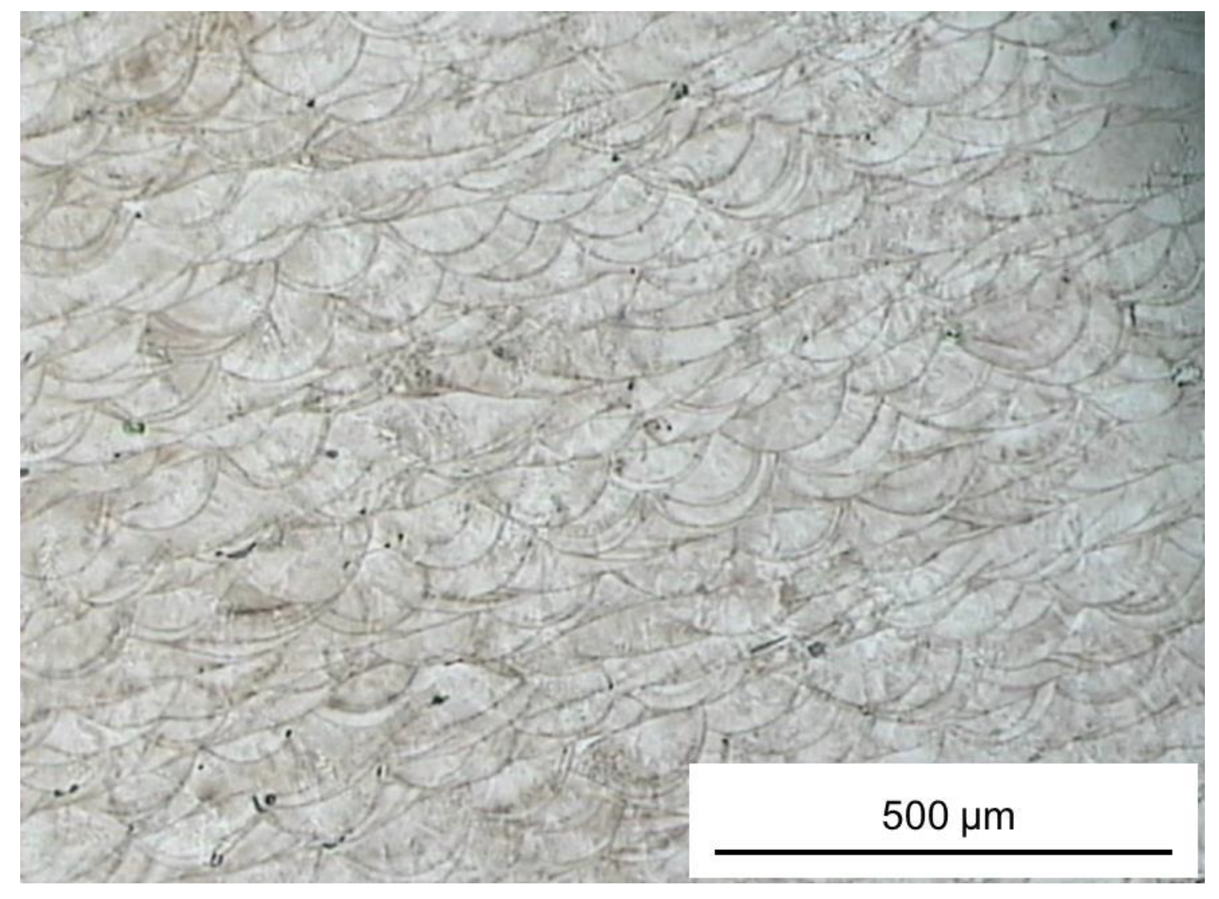 Materials 06 03451 g004 1024