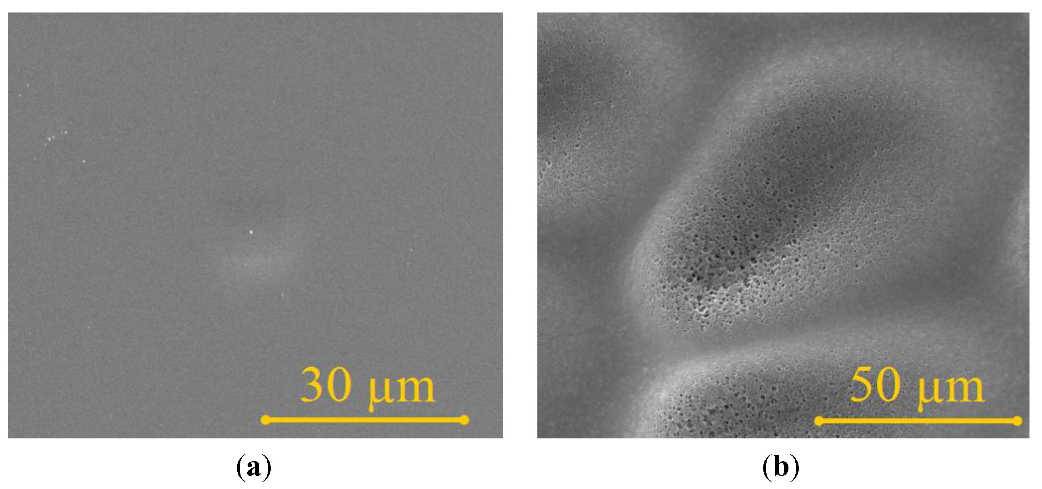 Materials 06 04309 g004 1024