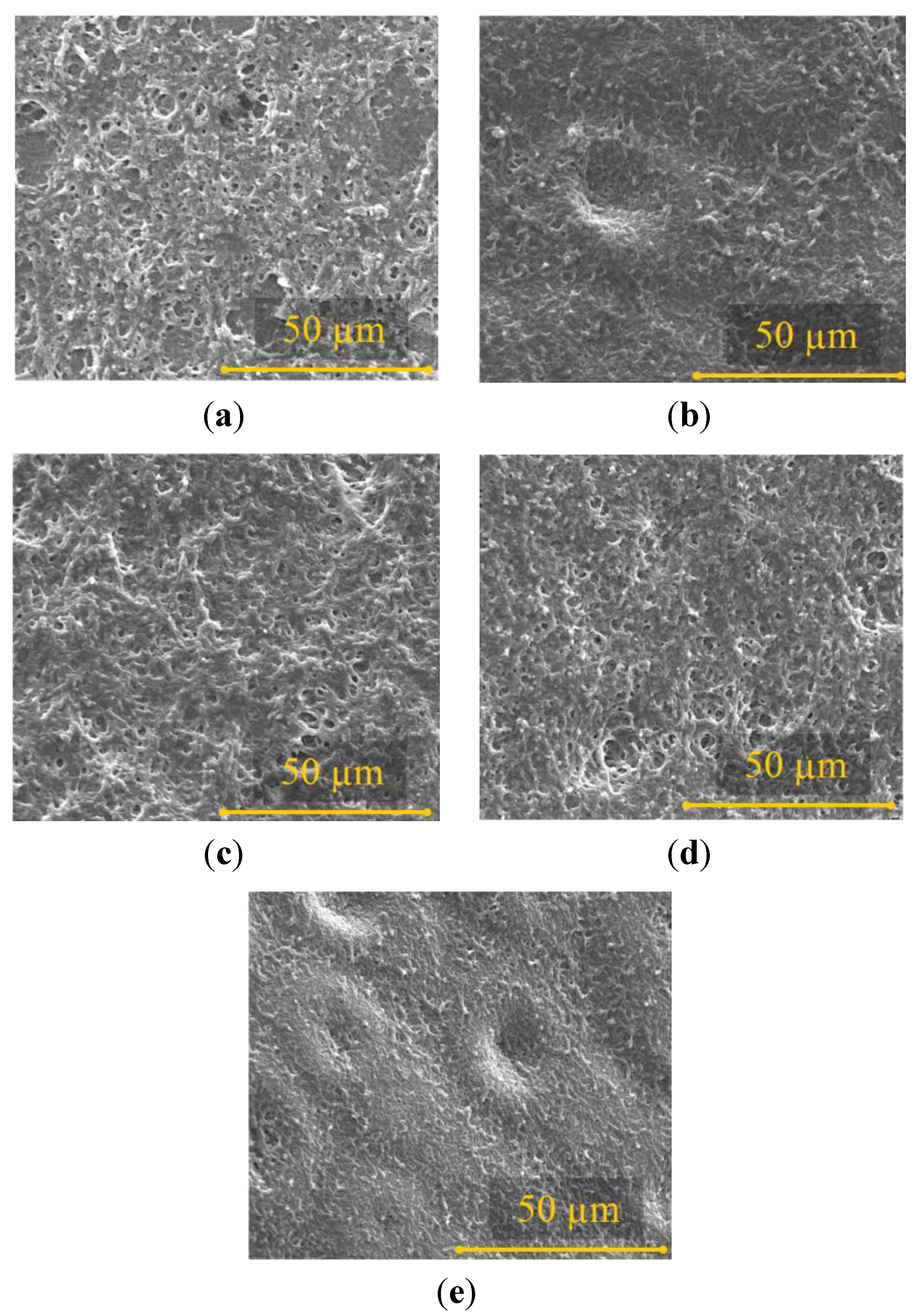 Materials 06 04309 g007 1024