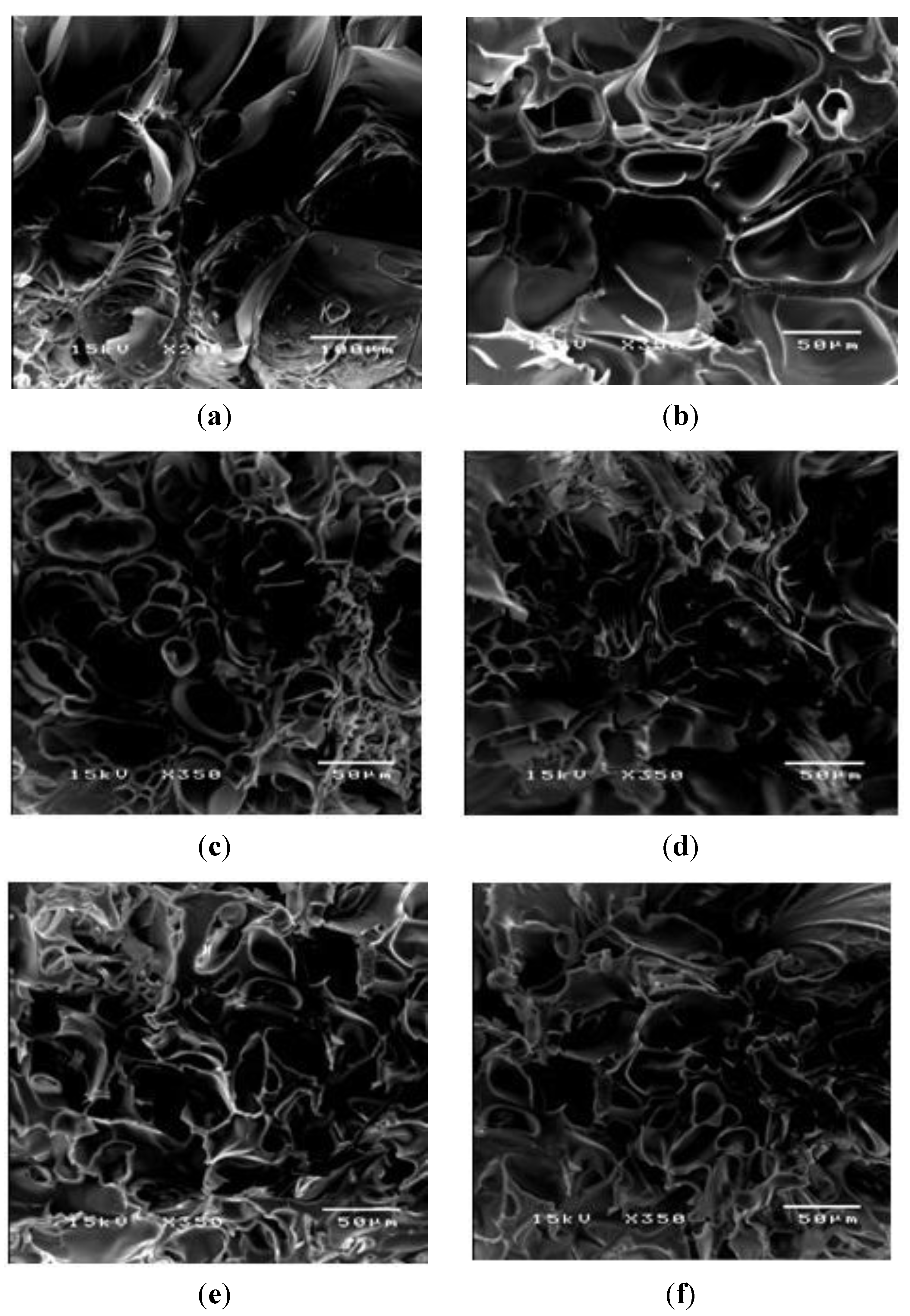 Materials Free Full Text Controlled Aloin Release From Crosslinked Polyacrylamide Hydrogels Effects Of Mesh Size Electric Field Strength And A Conductive Polymer Html Materials Free Full Text Controlled Aloin Release From Crosslinked Polyacrylamide Hydrogels Effects Of Mesh Size Electric Field Strength And A Conductive Polymer Html