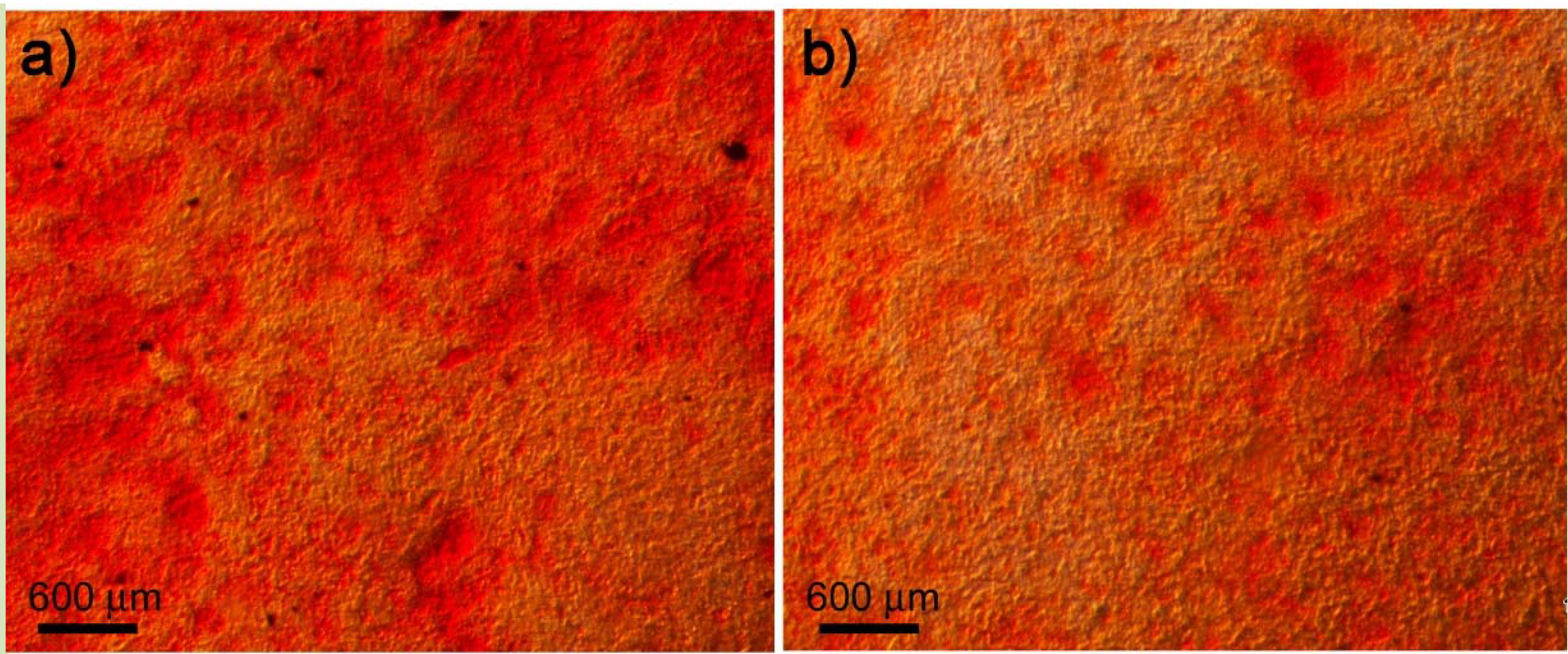 Materials 06 04930 g008 1024