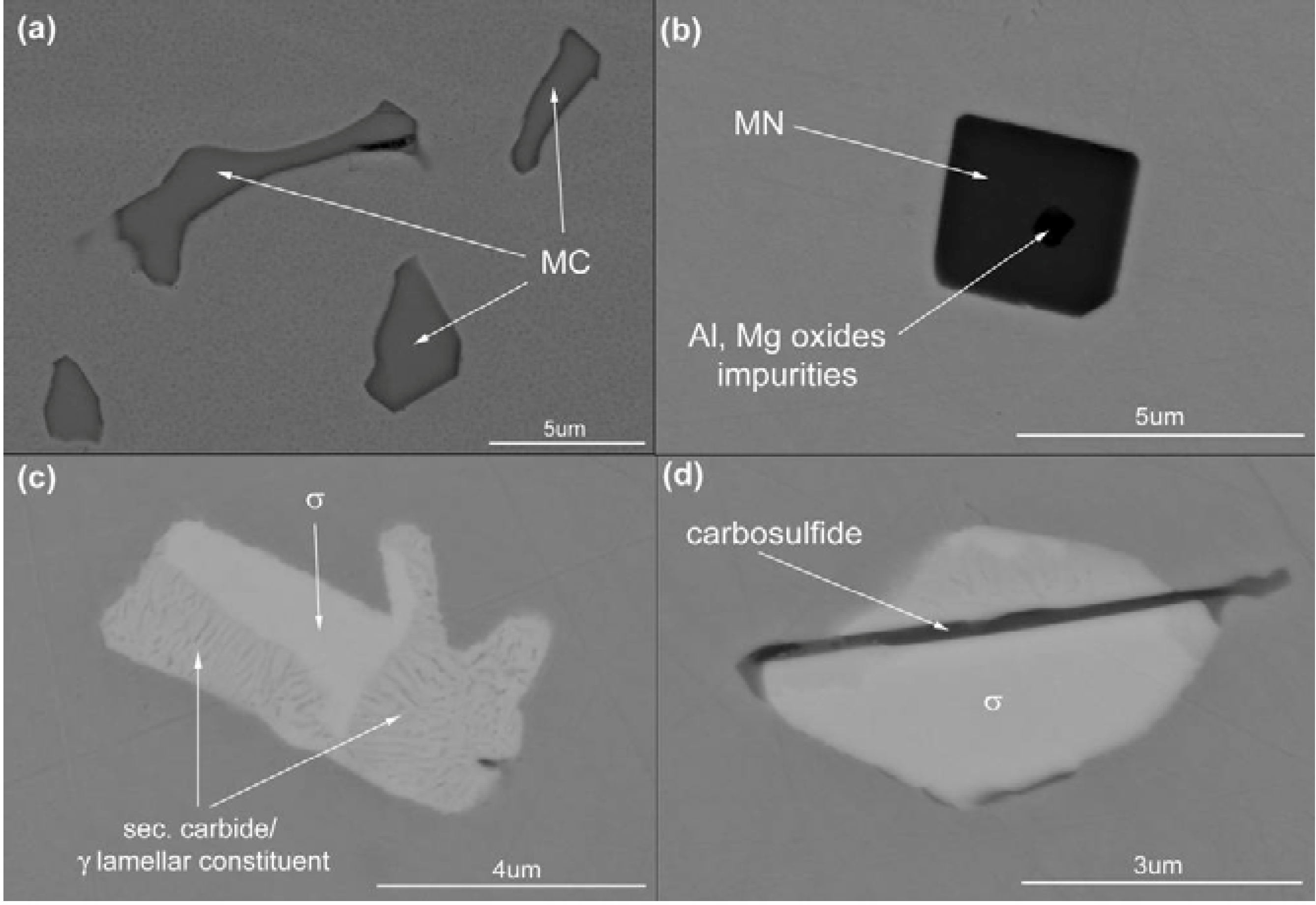 Materials Free Full Text Microstructure Of Haynes 282 - 