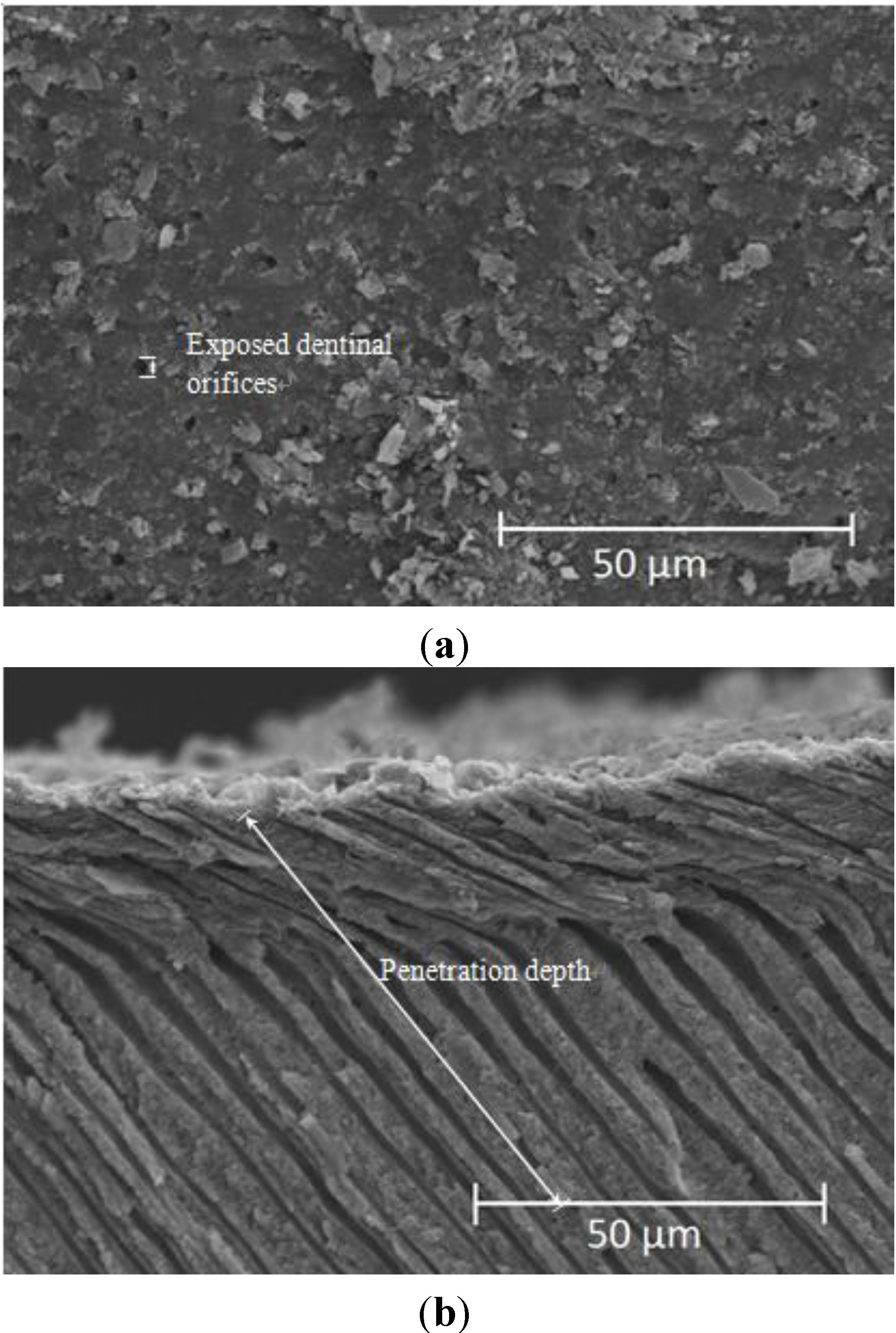 Materials 06 05335 g006