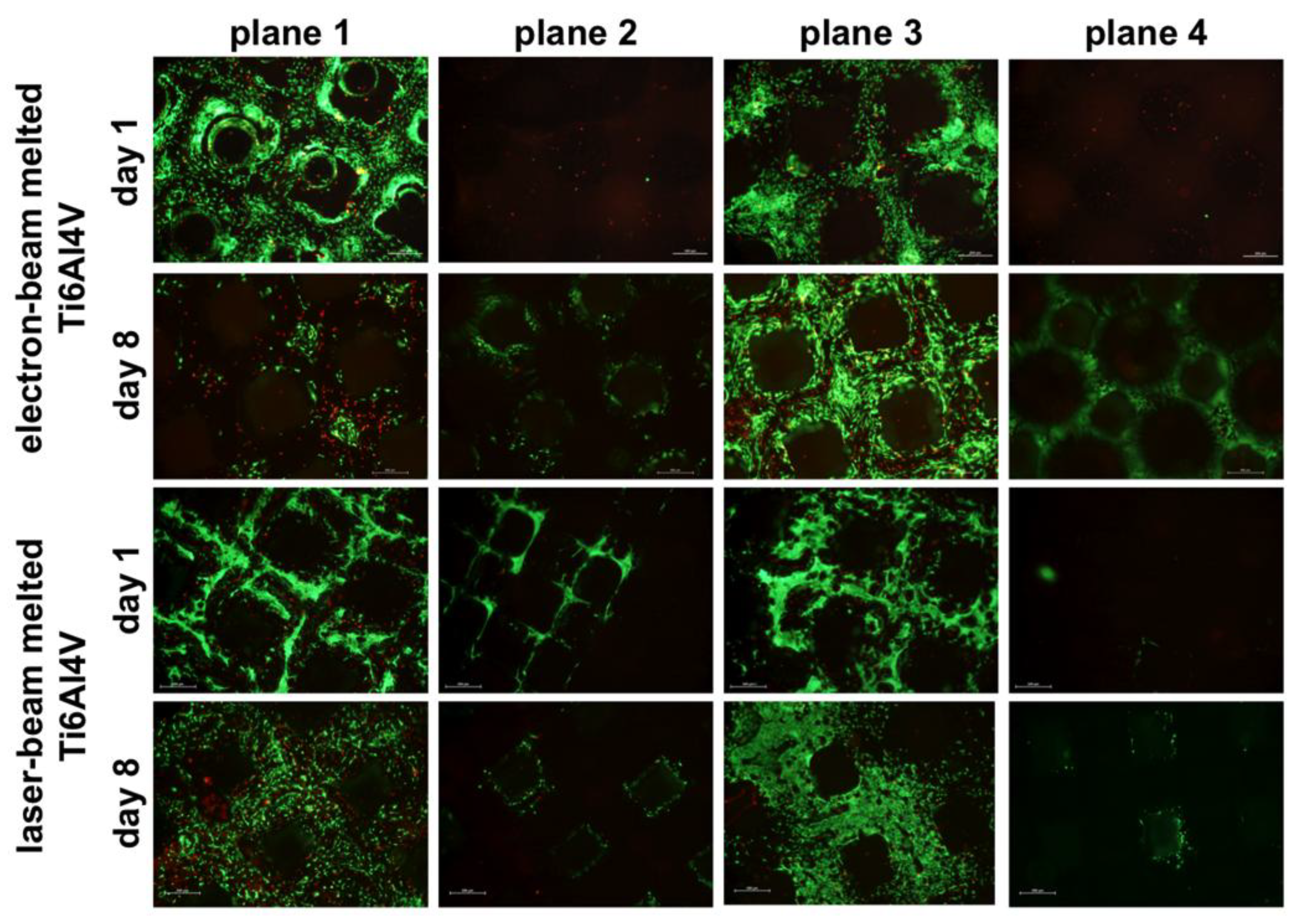 Materials 06 05398 g002 1024