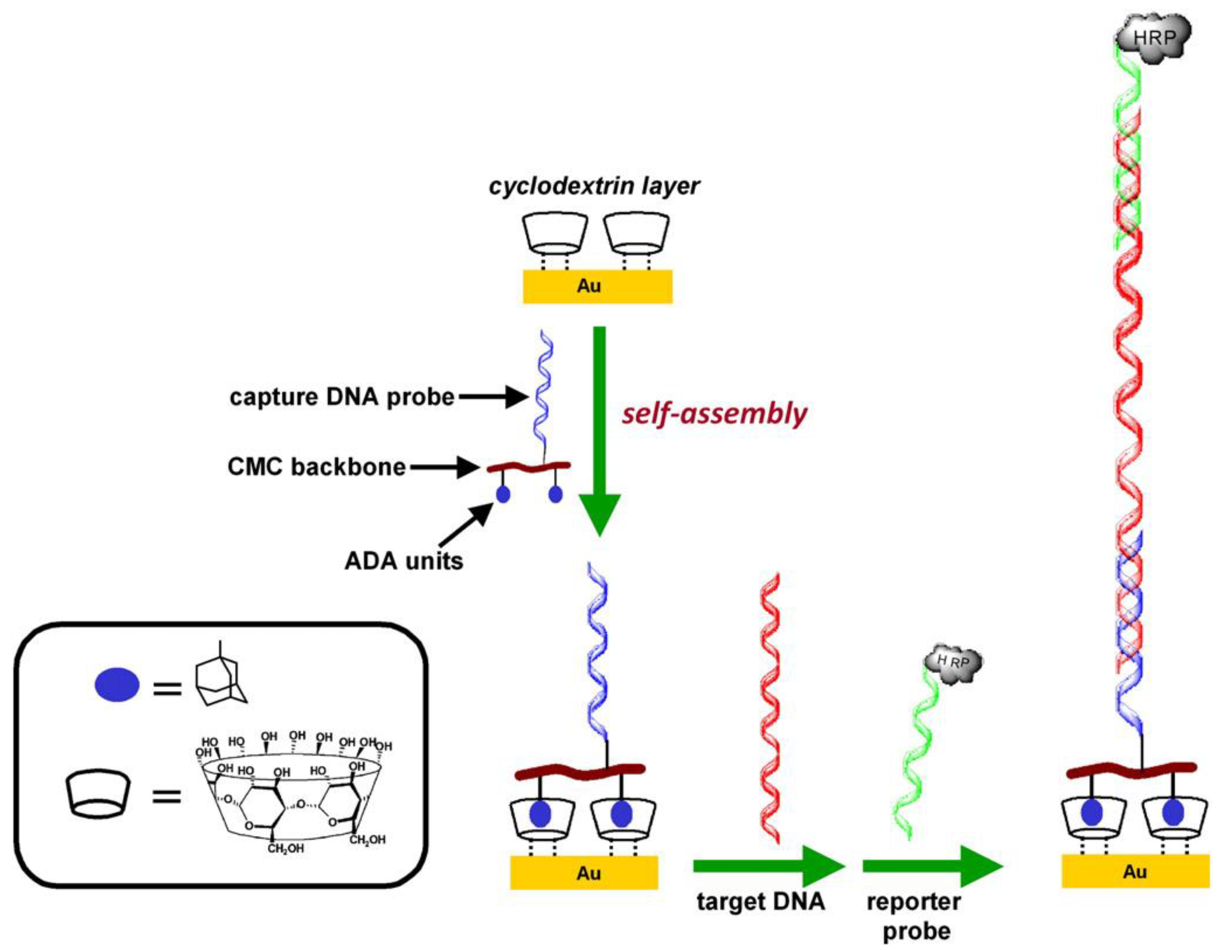 Materials 06 05742 g005 1024