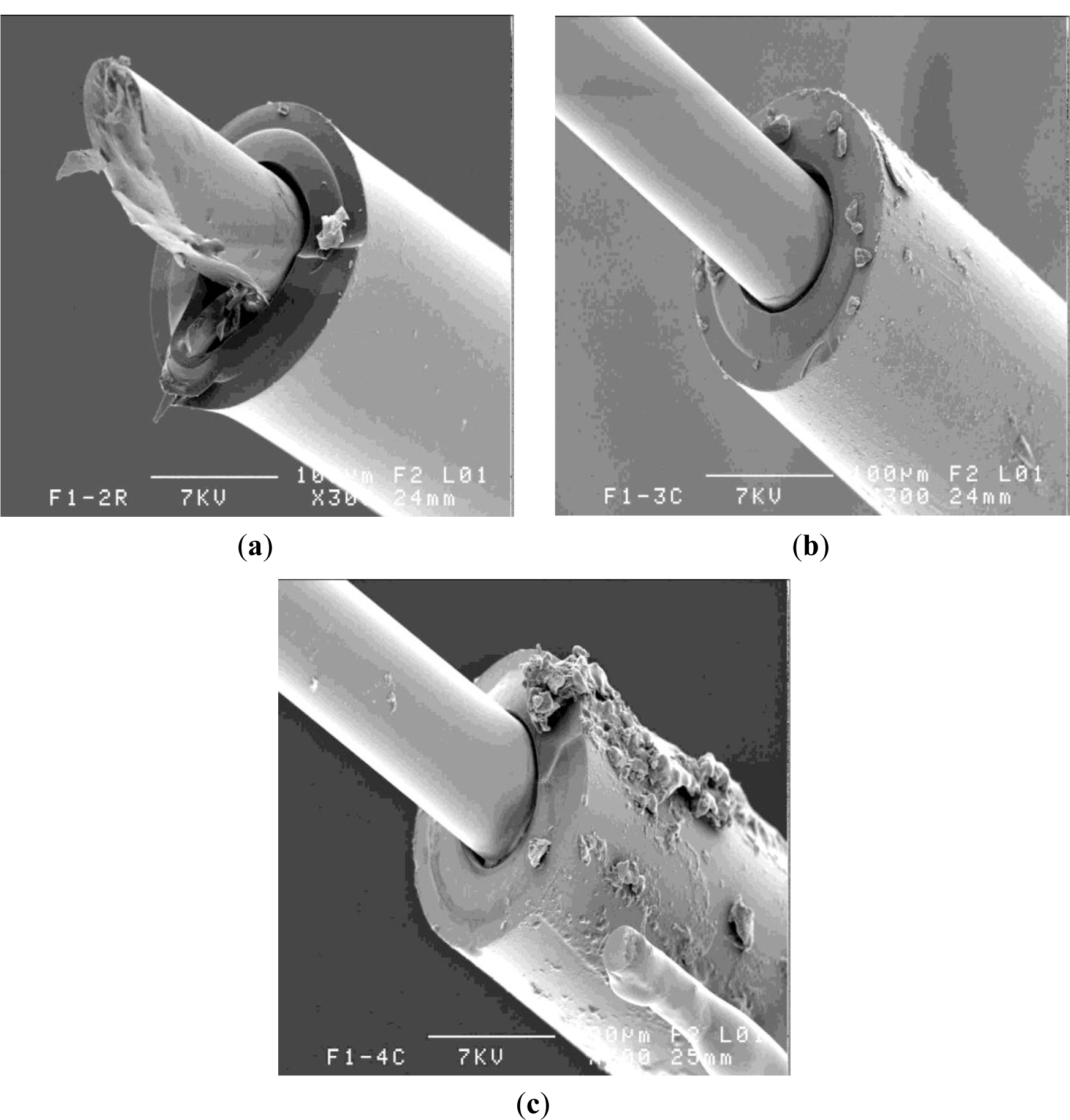 Materials 07 00044f8 1024