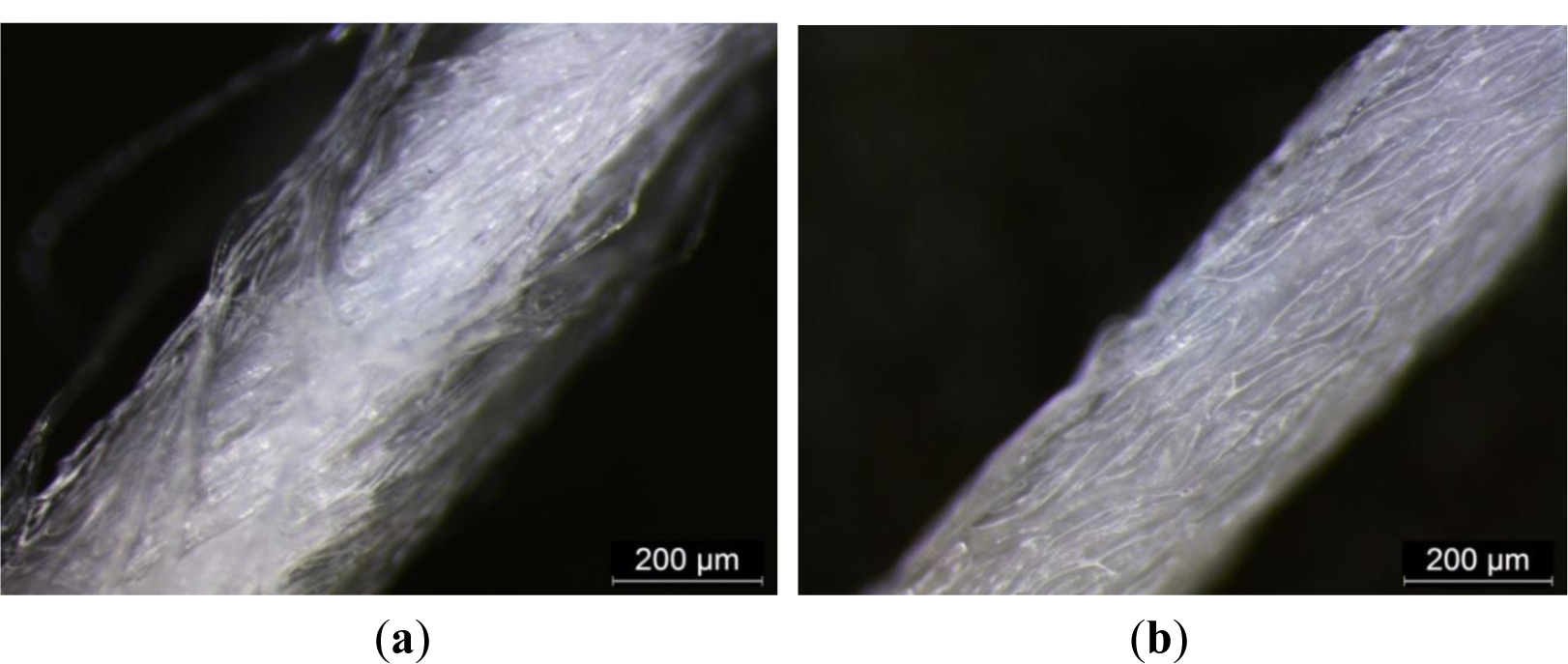 Materials 07 00058f3 1024