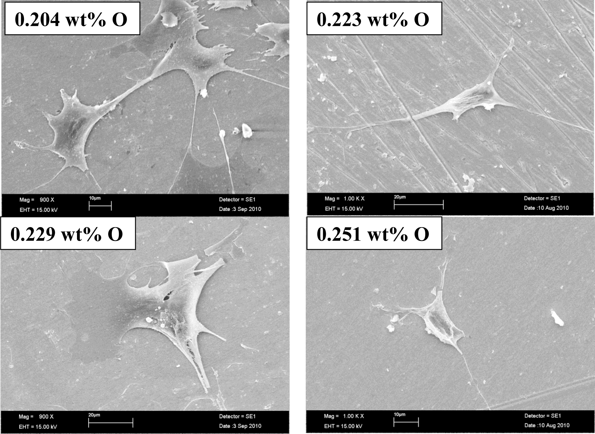 Materials 07 00232f4 1024