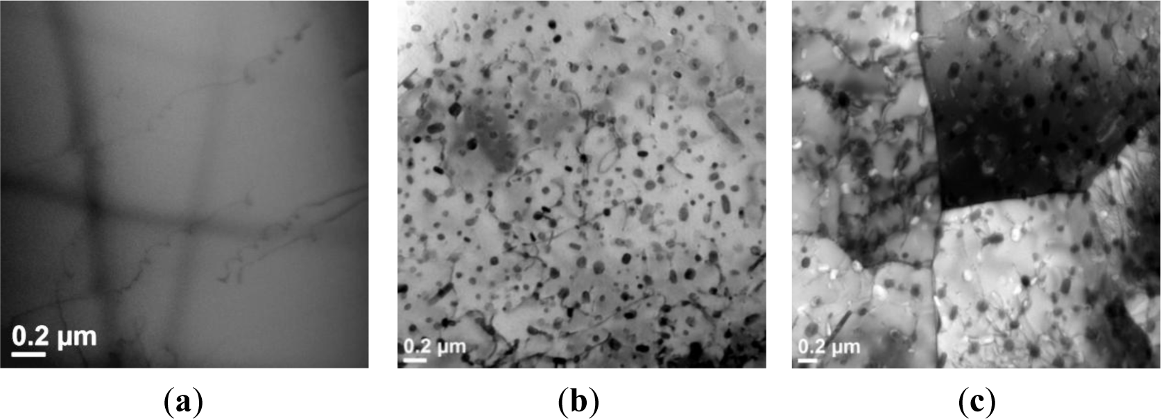 Materials 07 00244f11 1024