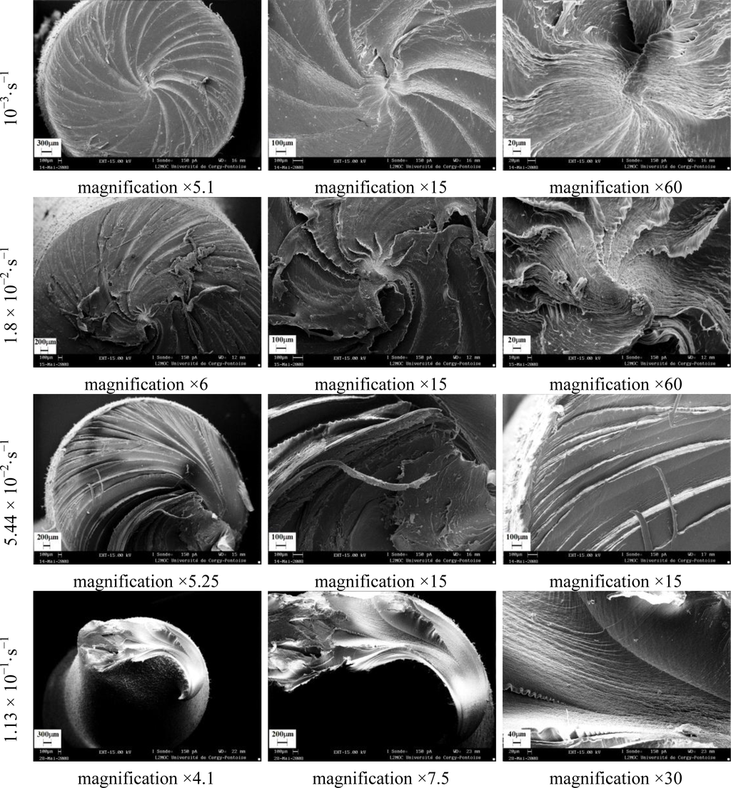 Materials 07 00375f26 1024