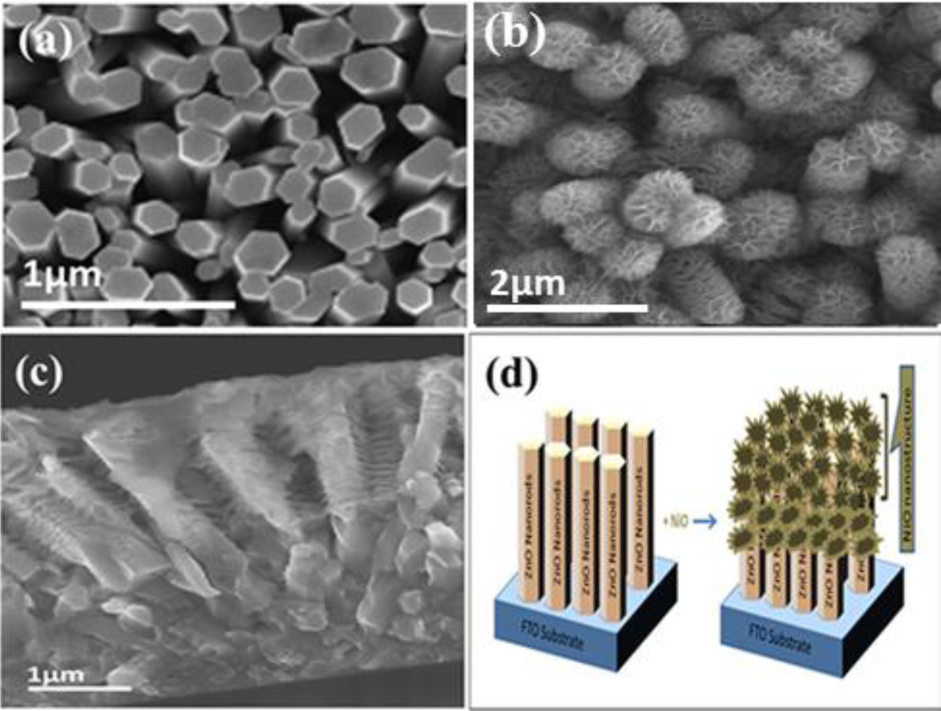 Materials 07 00430f1 1024