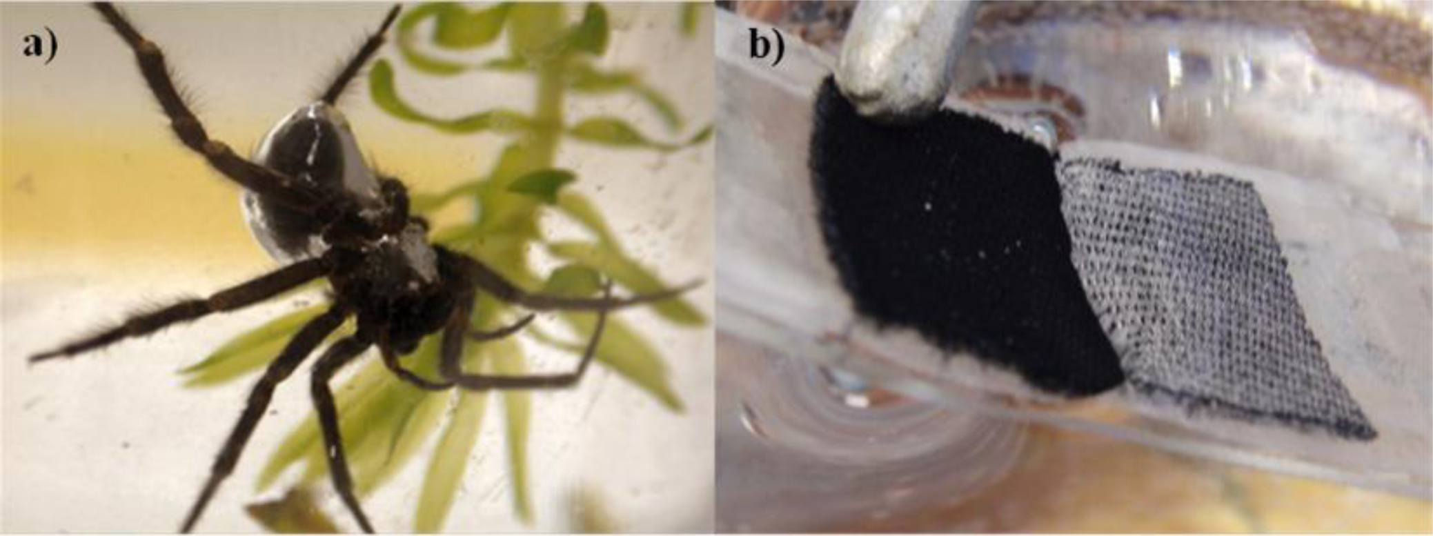 Materials 07 00484f1 1024