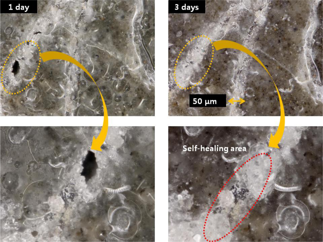 Materials 07 00508f10 1024