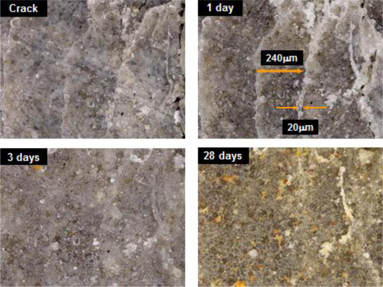 Materials 07 00508f11 1024