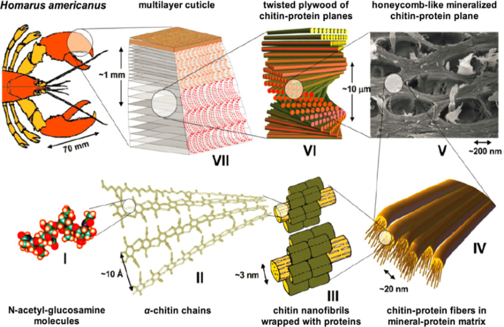 Materials 07 00673f7 1024