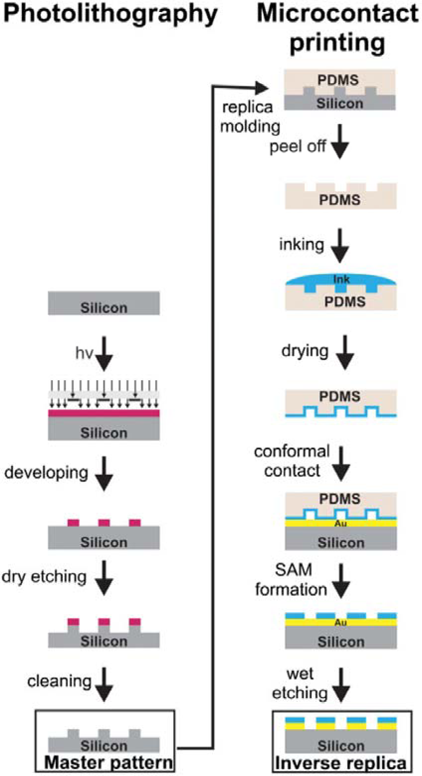 Materials 07 00805f12 1024