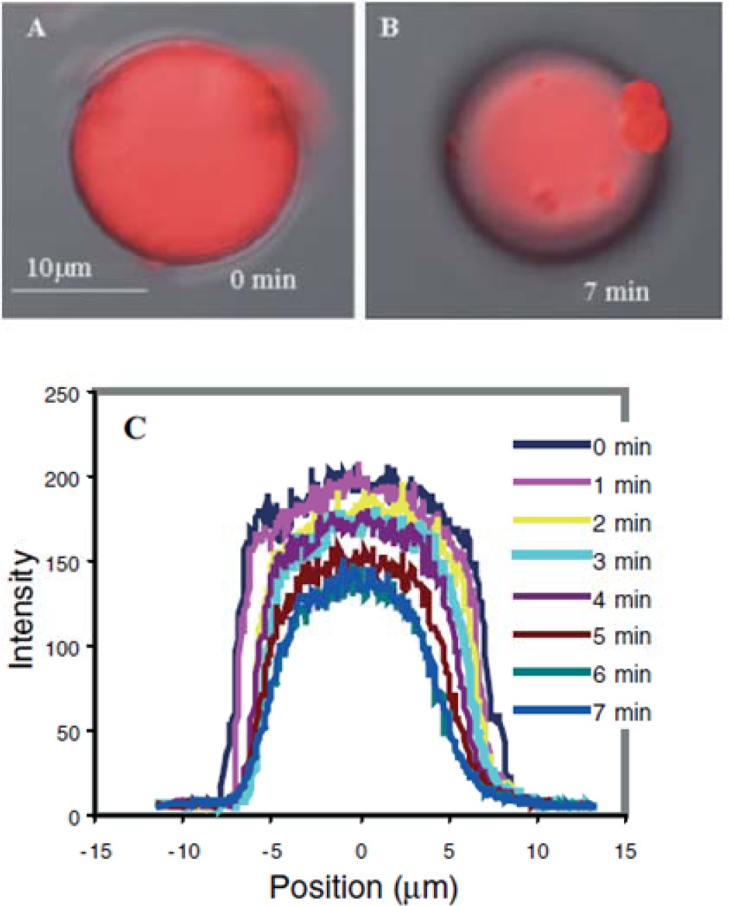 Materials 07 00805f23 1024