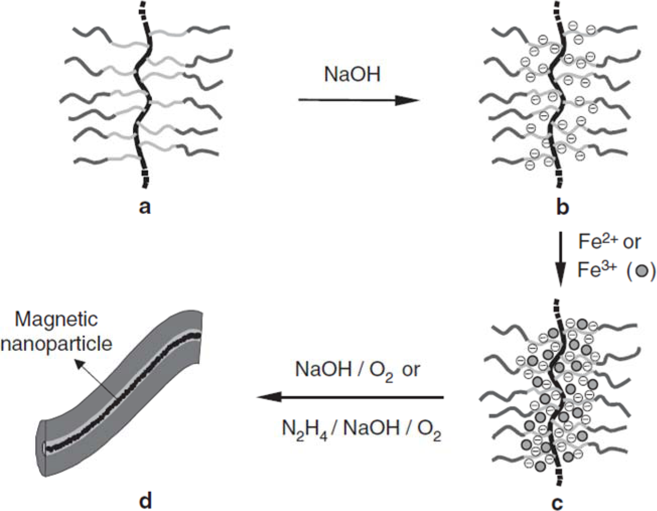 Materials 07 00805f6 1024