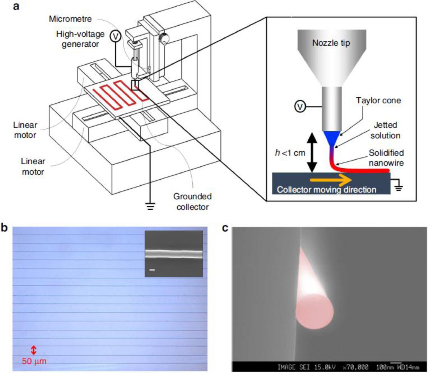 Materials 07 00906f15 1024