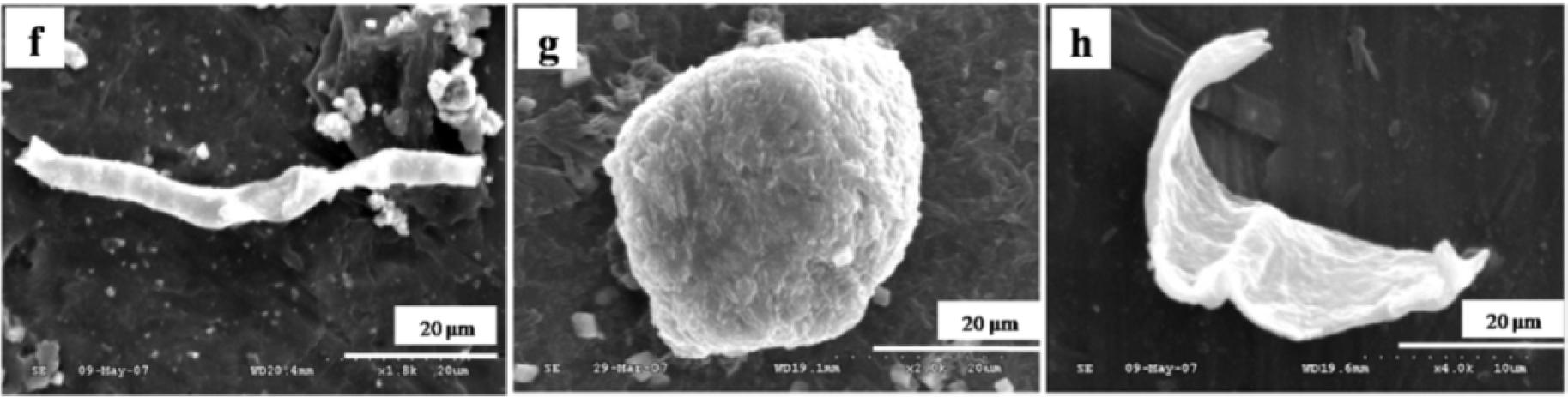 Materials 07 00980f3a 1024