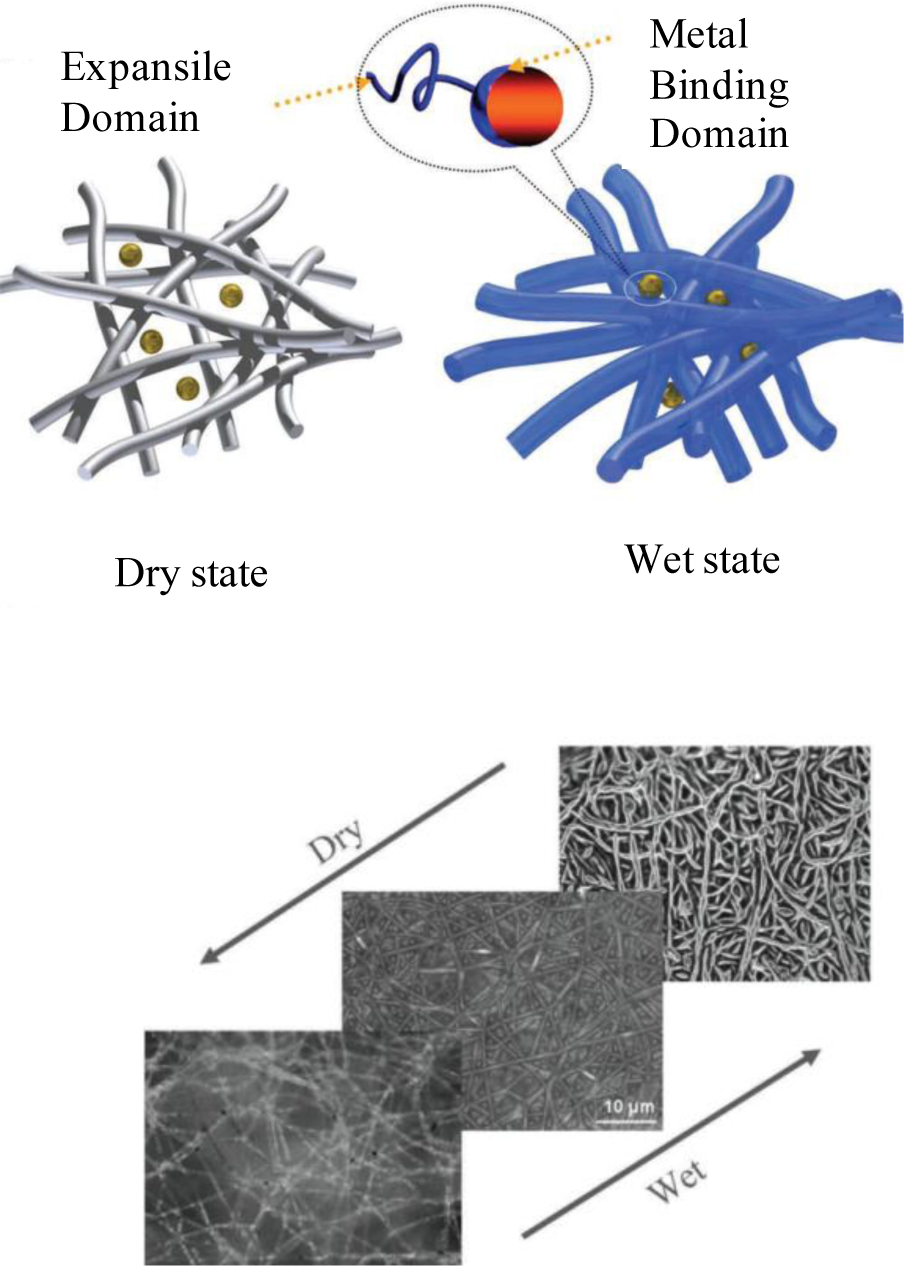 Materials 07 01017f9 1024